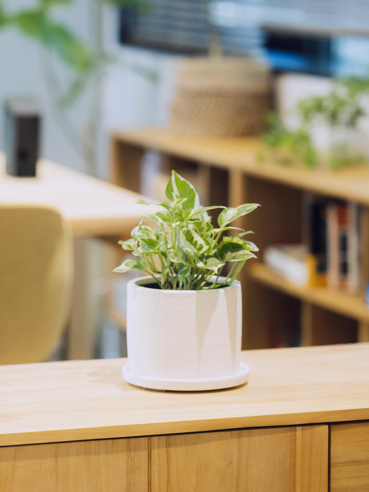 AI・DXセミナー - 株式会社美陽