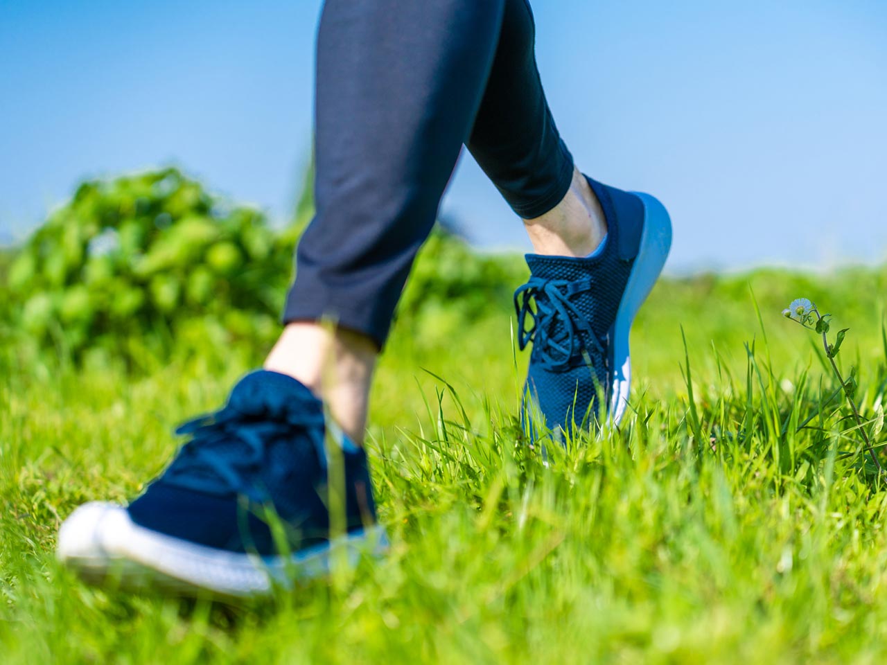 チームビルディング - happy nature