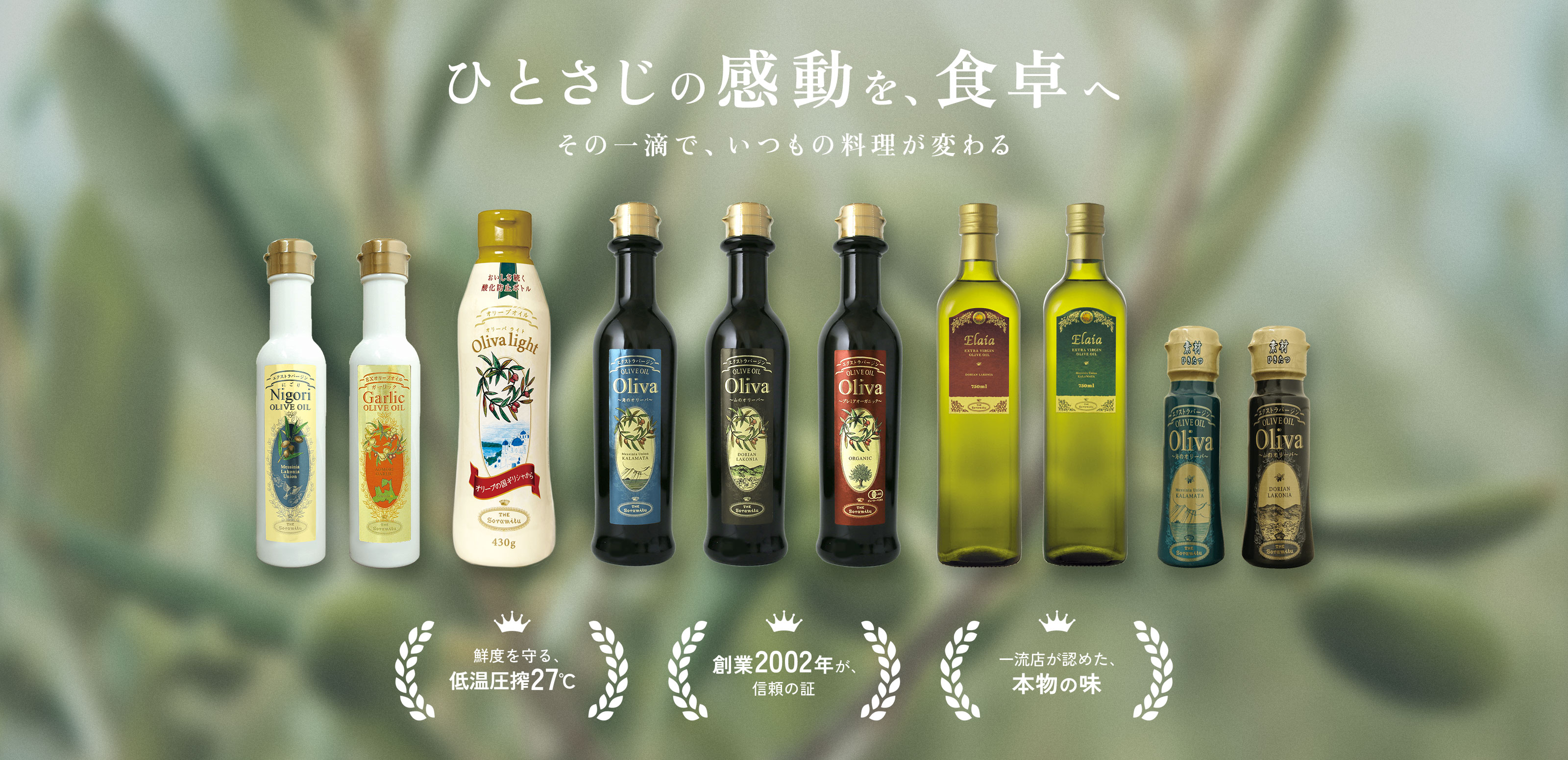オリーブ - そらみつ株式会社