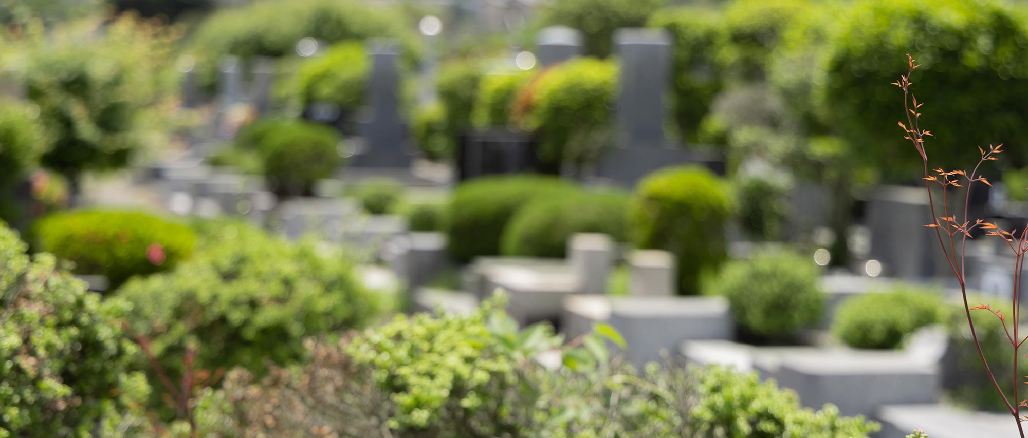 光澤院のできること - 合同会社光澤院