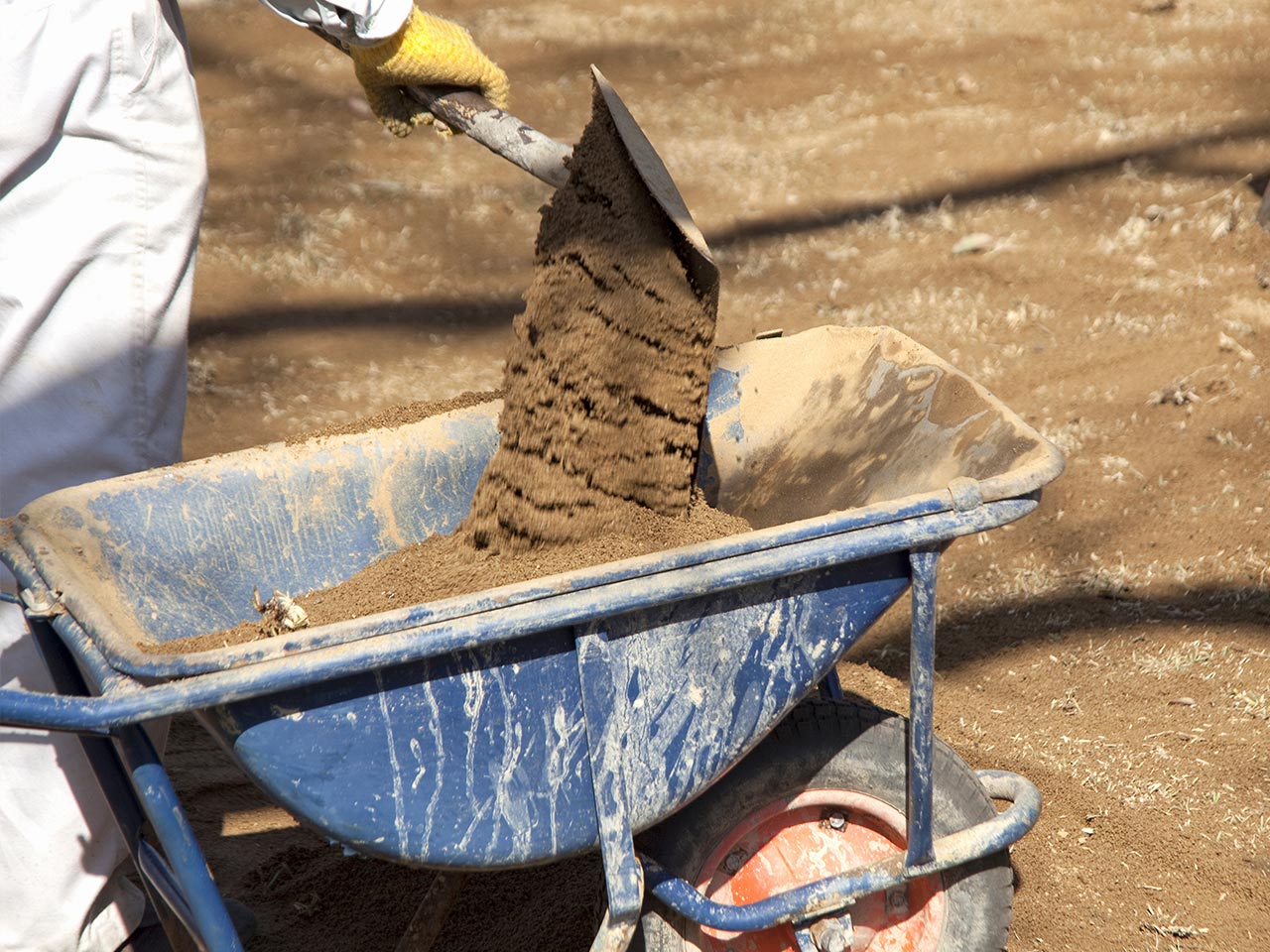 園芸サービス - 株式会社真和園