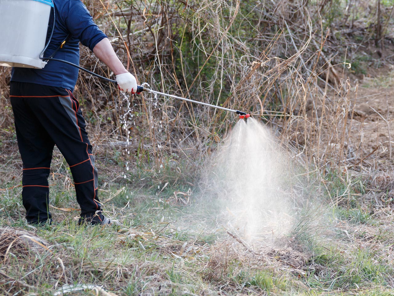 園芸サービス - 株式会社真和園