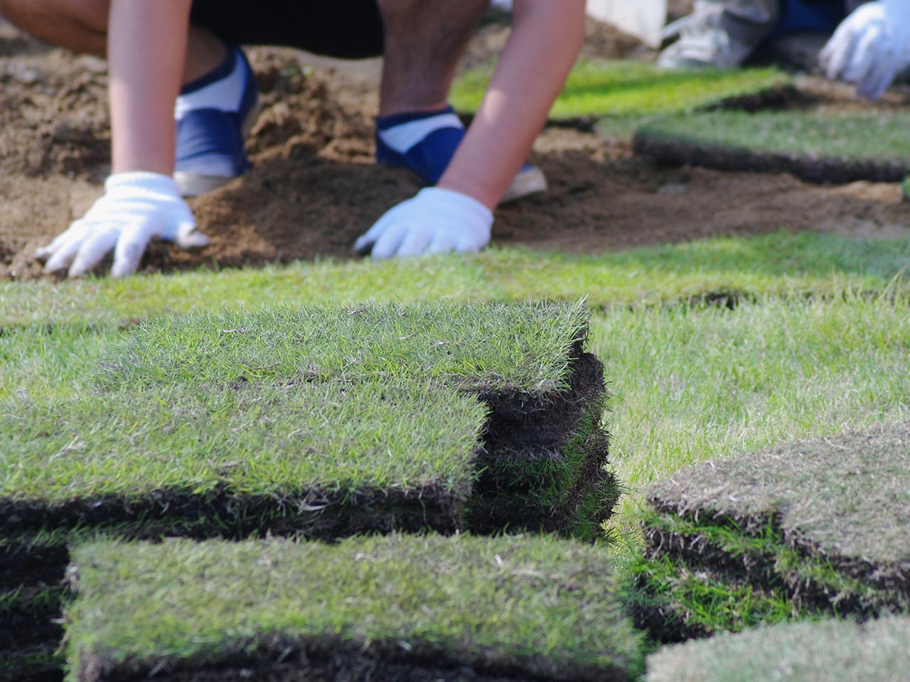 園芸サービス - 株式会社真和園