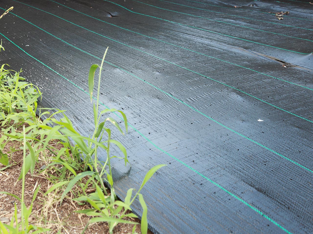 園芸サービス - 株式会社真和園