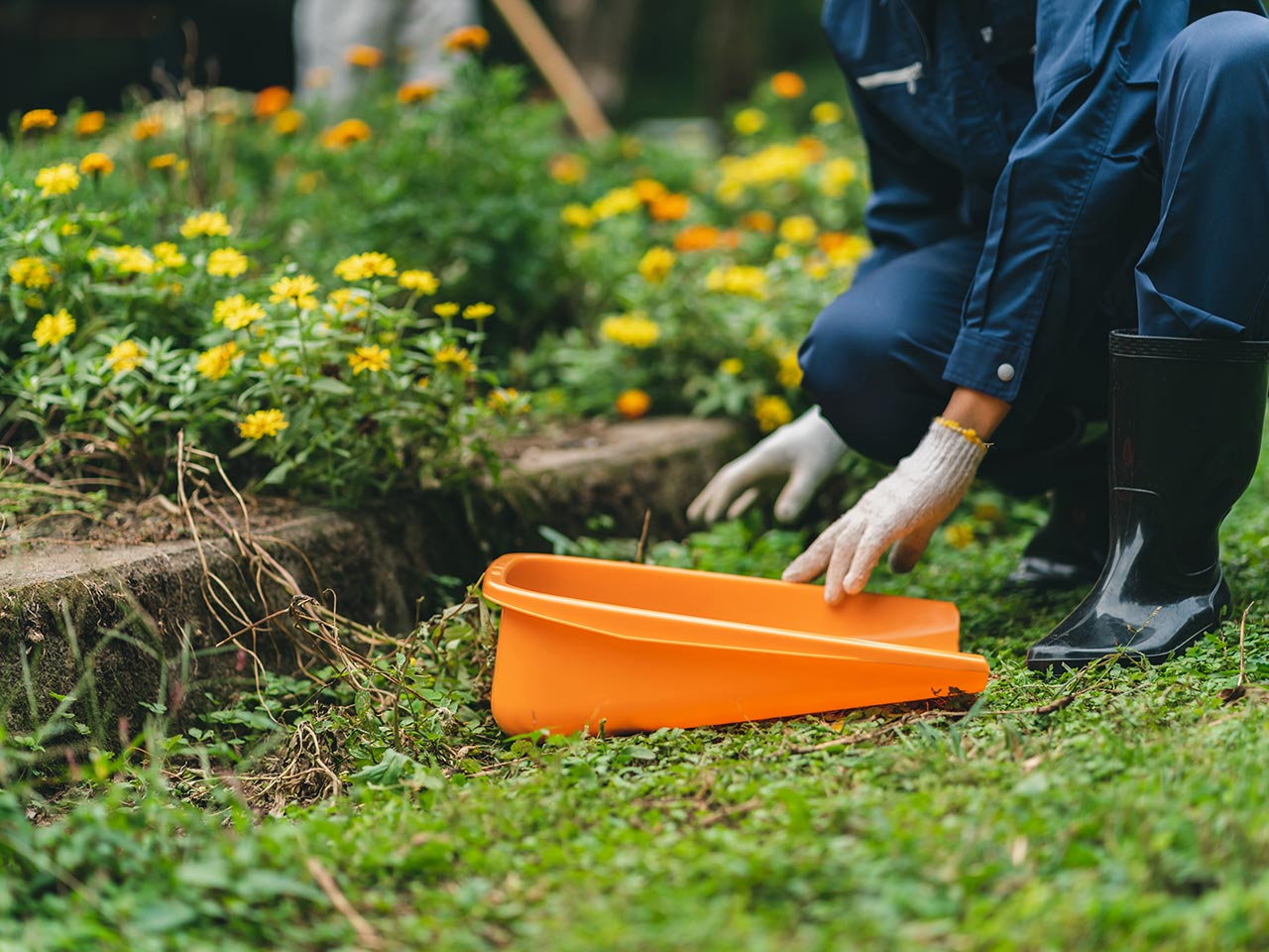 園芸サービス - 株式会社真和園