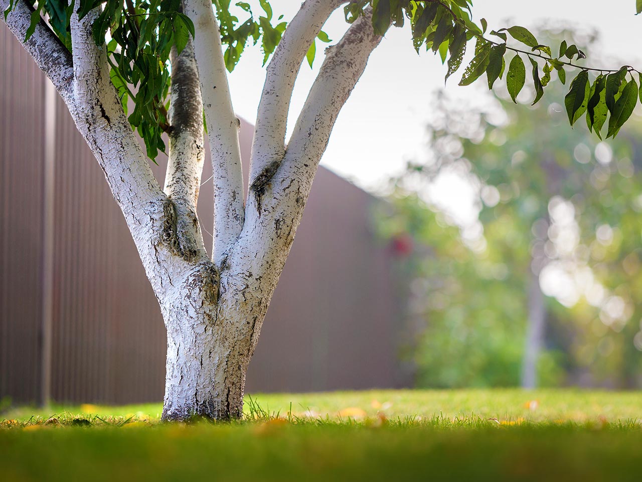 園芸サービス - 株式会社真和園