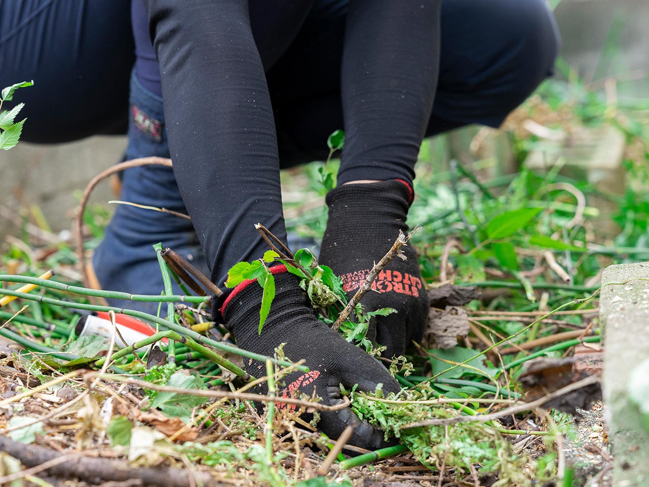 園芸サービス - 株式会社真和園