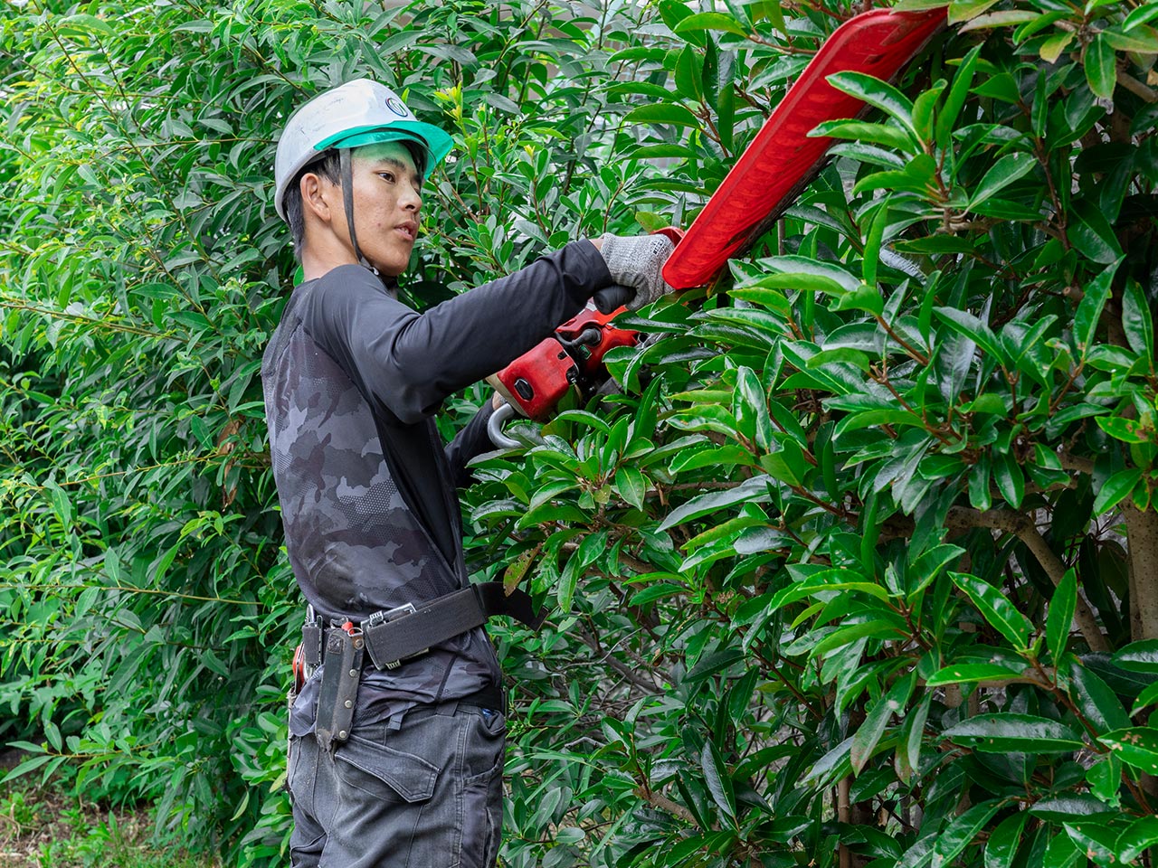 園芸サービス - 株式会社真和園