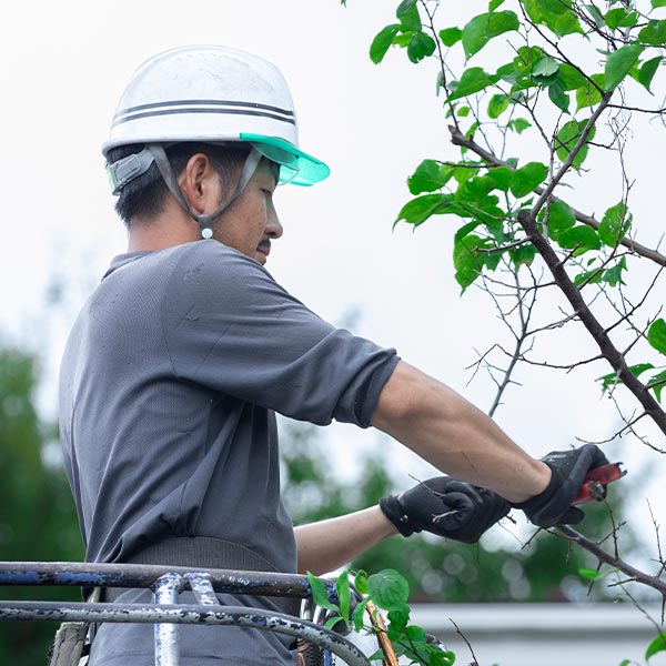 園芸サービス - 株式会社真和園