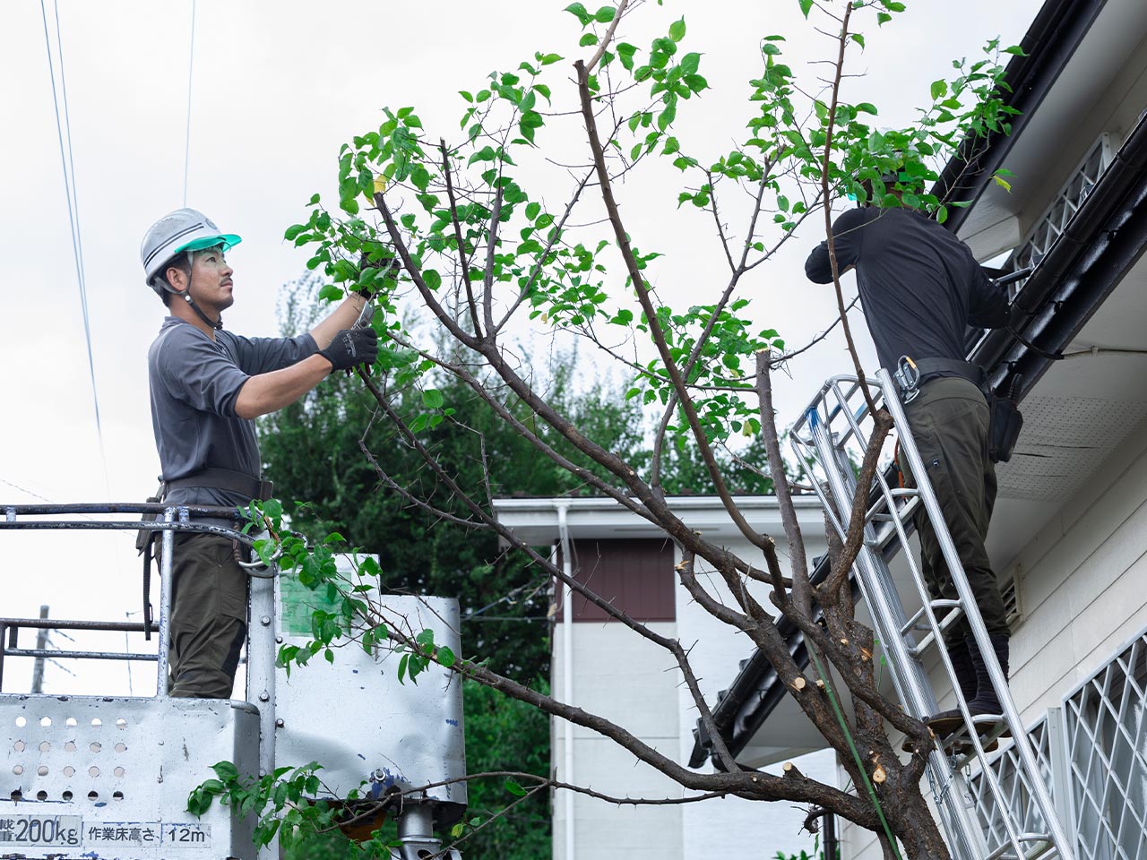 園芸サービス - 株式会社真和園