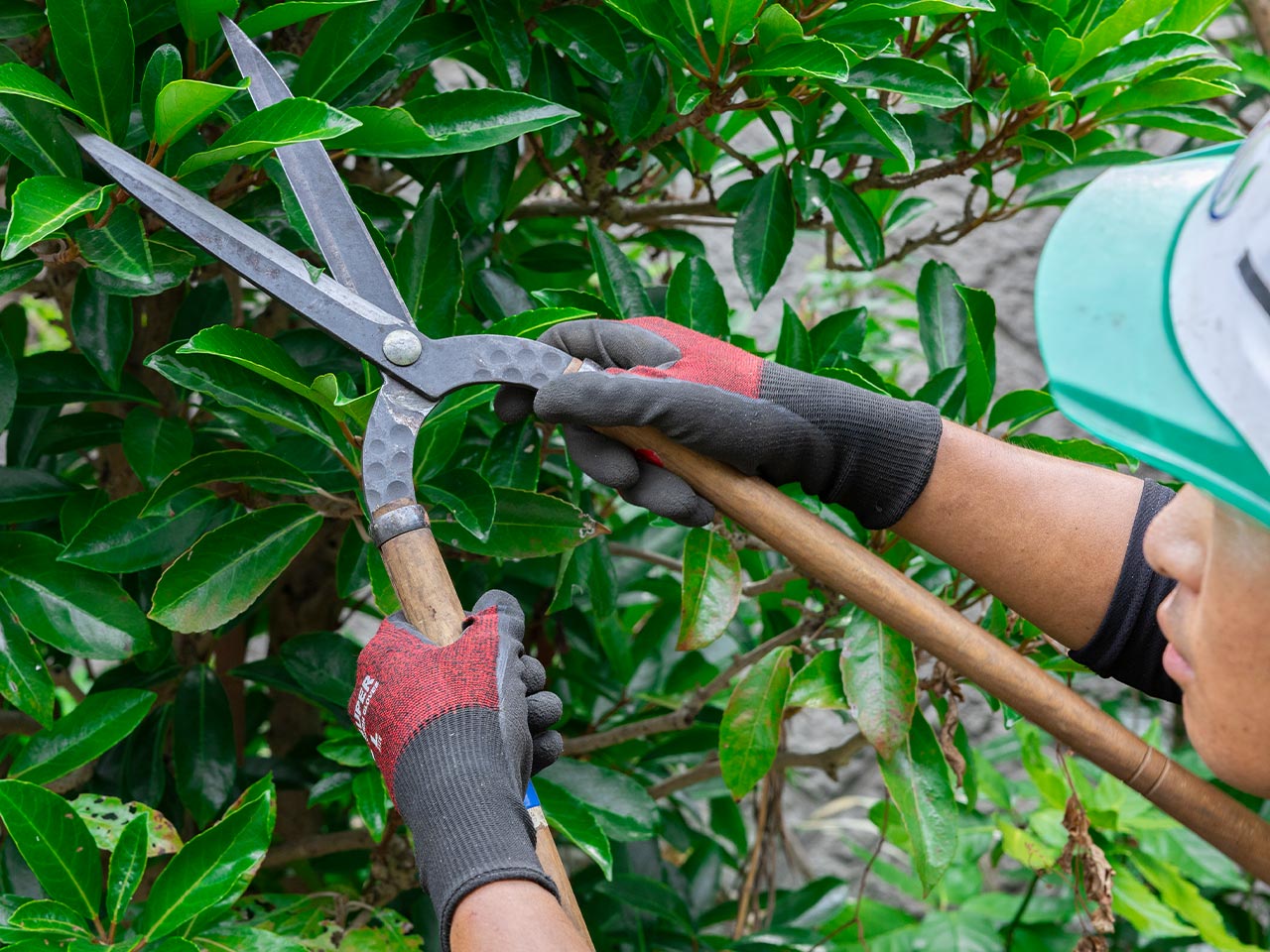 園芸サービス - 株式会社真和園