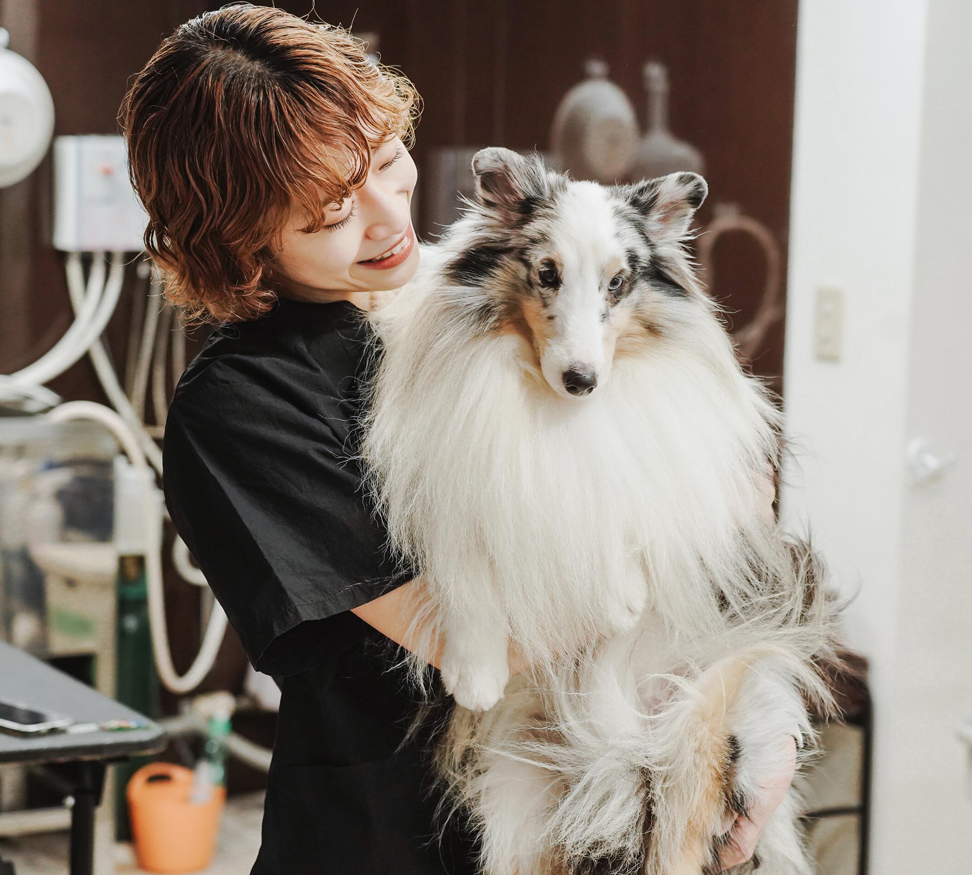 ドッグサロン - 笑王株式会社