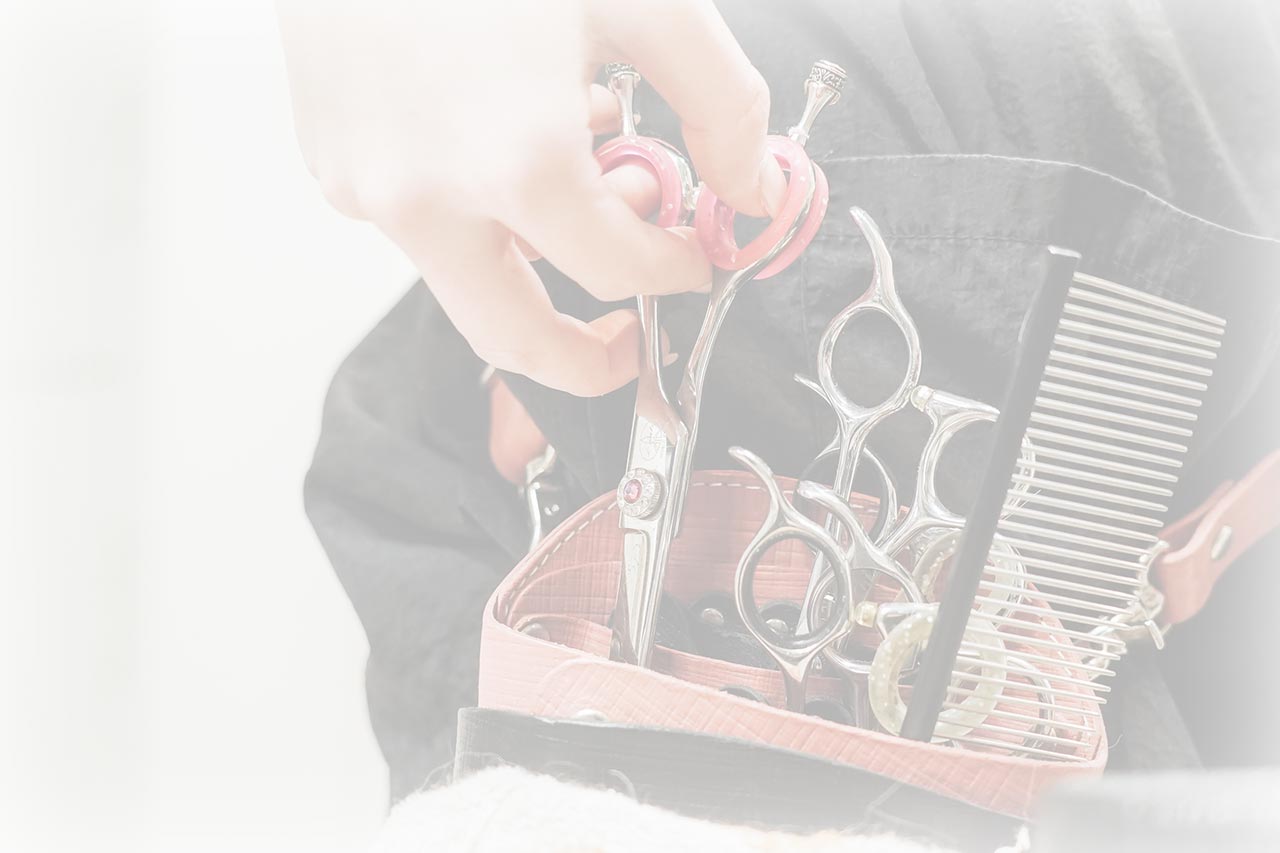 ドッグサロン - 笑王株式会社