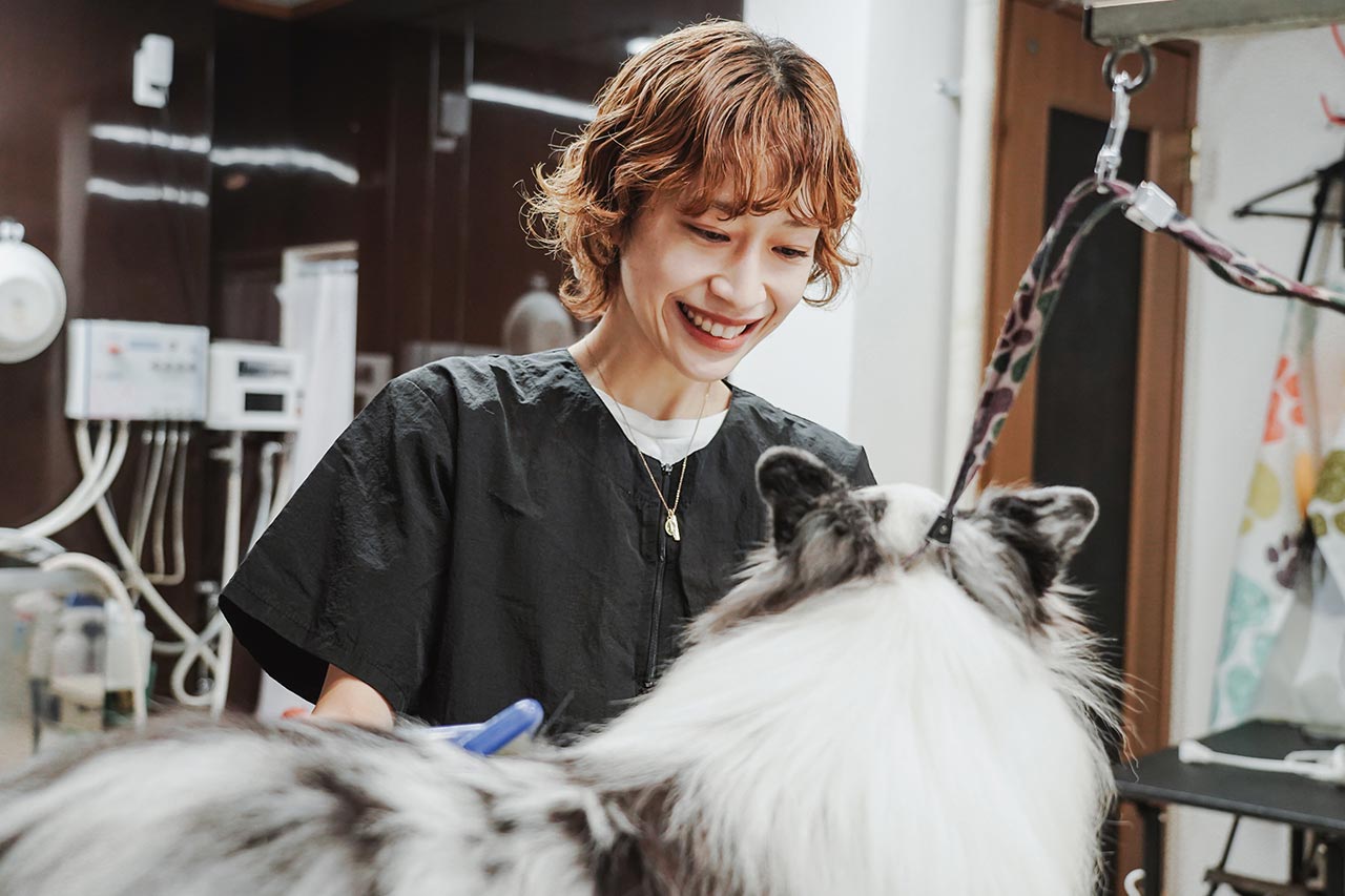 ドッグサロン - 笑王株式会社