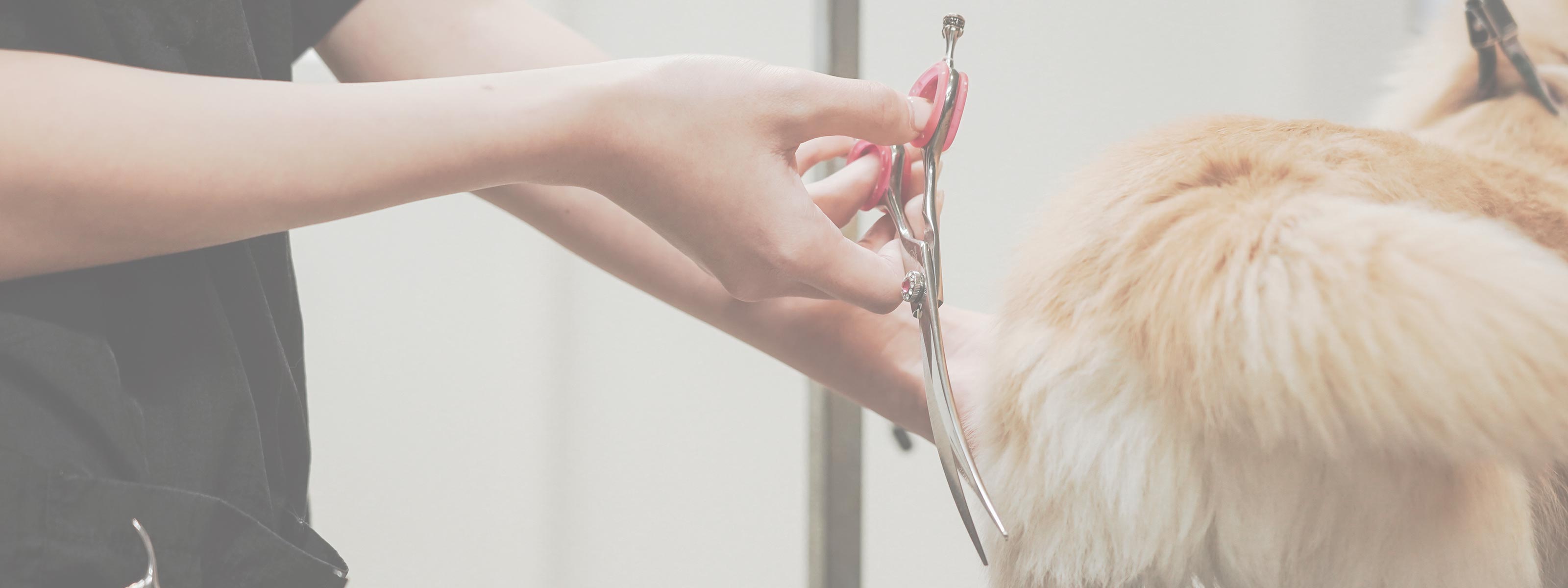 ドッグサロン - 笑王株式会社