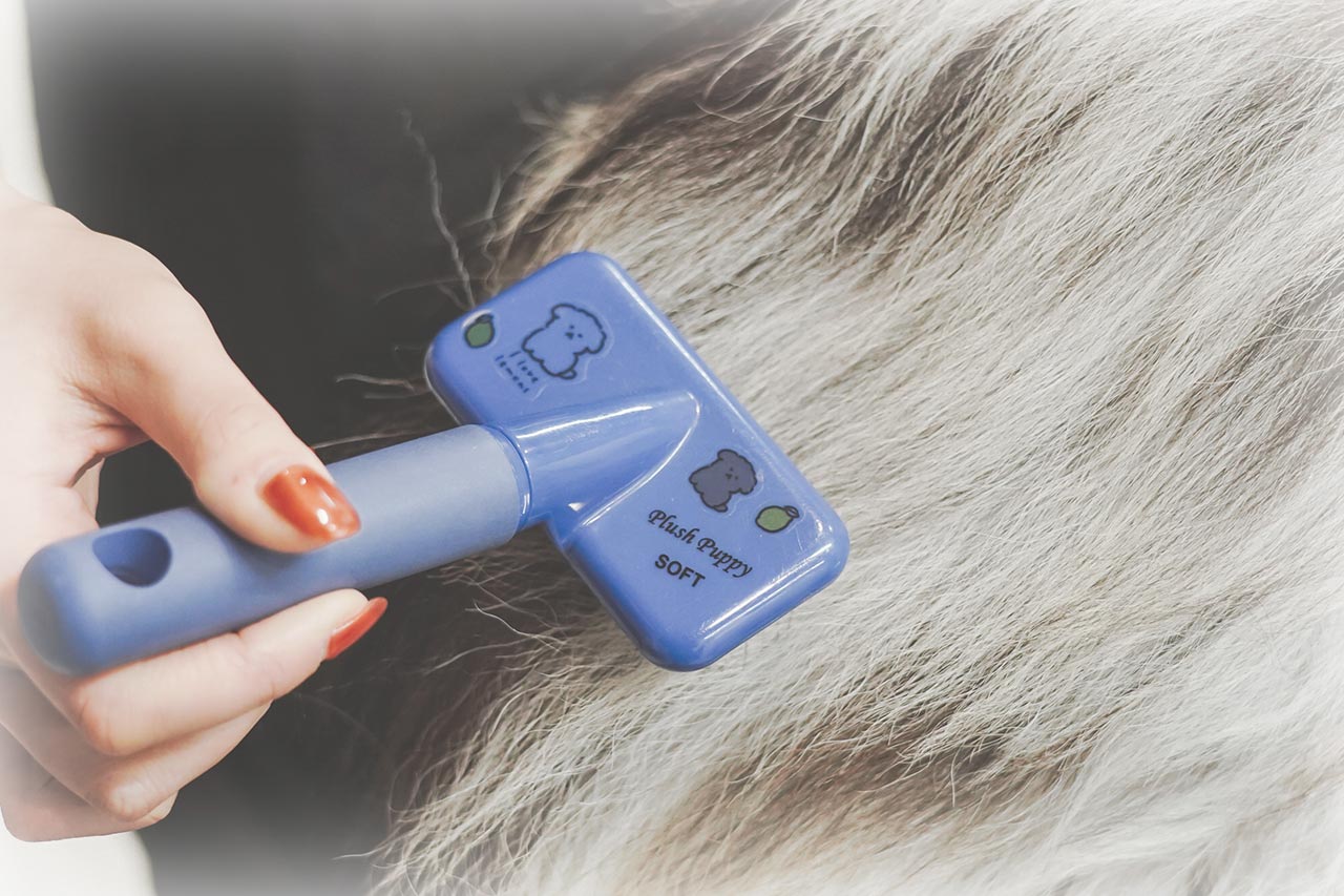 ドッグサロン - 笑王株式会社