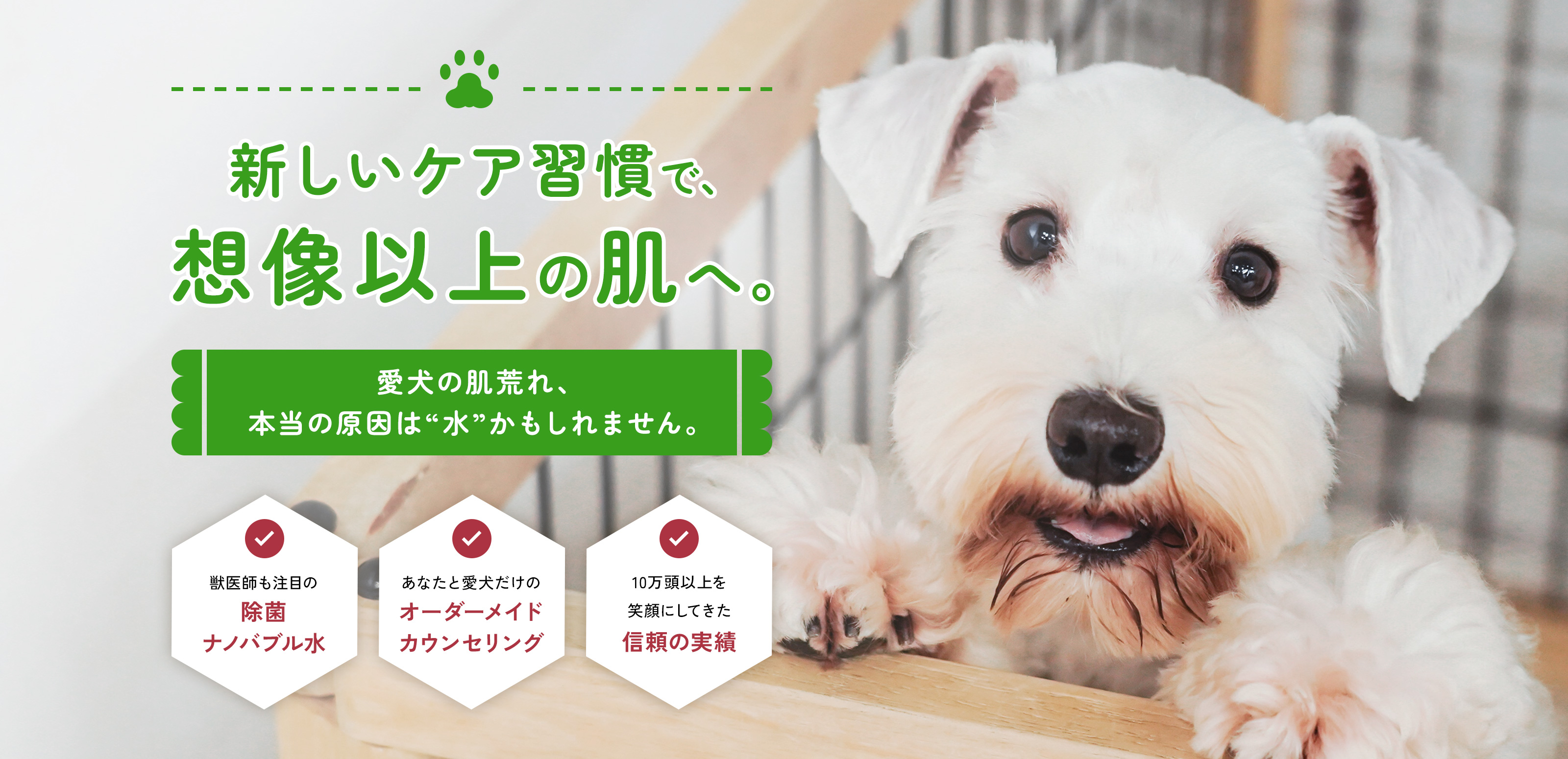 ドッグサロン - 笑王株式会社