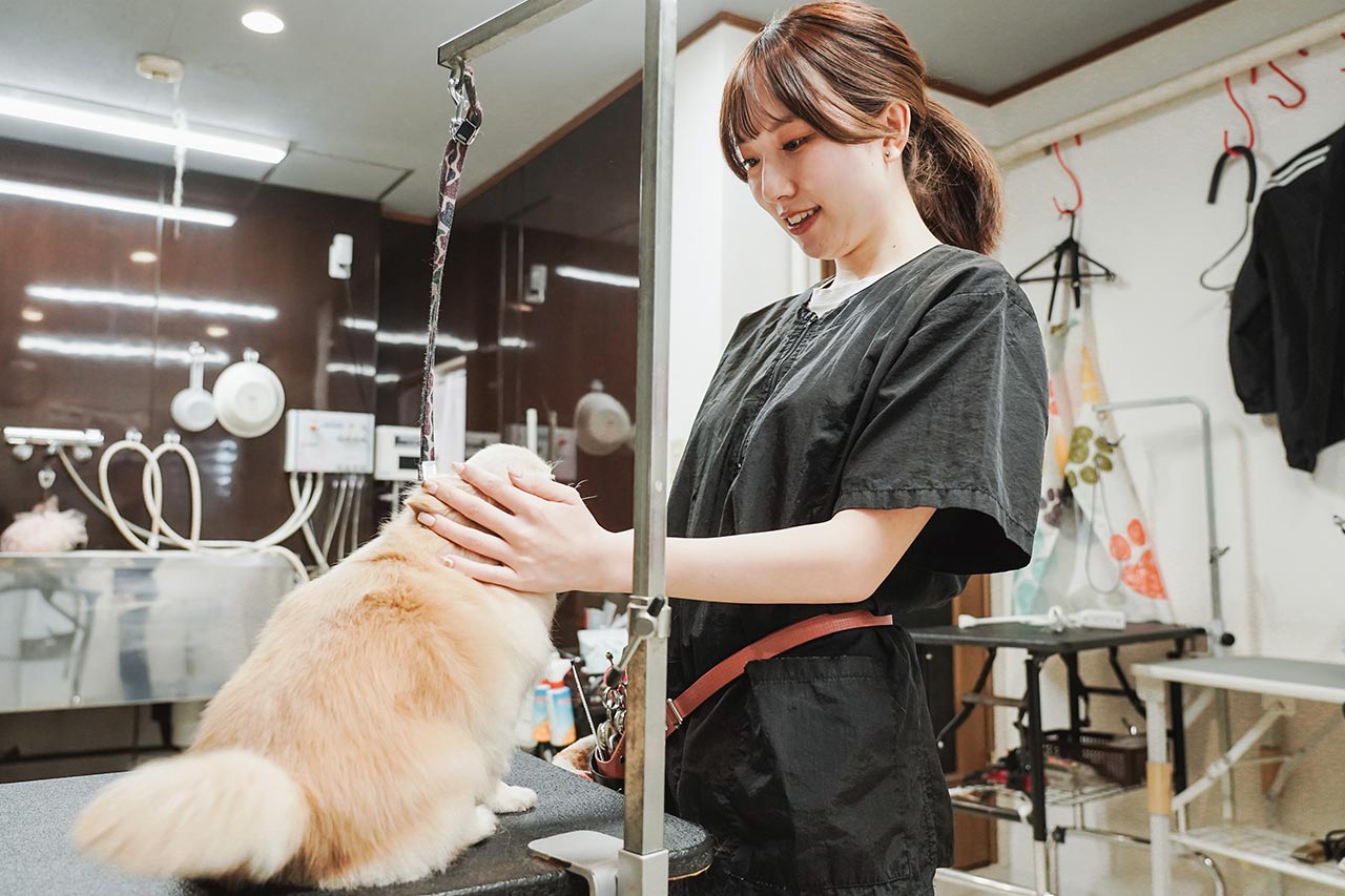 ドッグサロン - 笑王株式会社