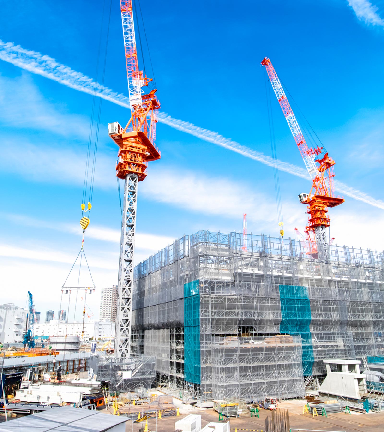 グラフィックデザイン - Duck-Dive