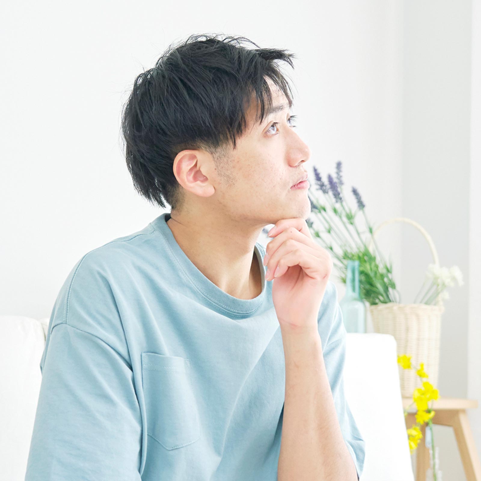害虫駆除・有害獣対策 - 株式会社TC関東