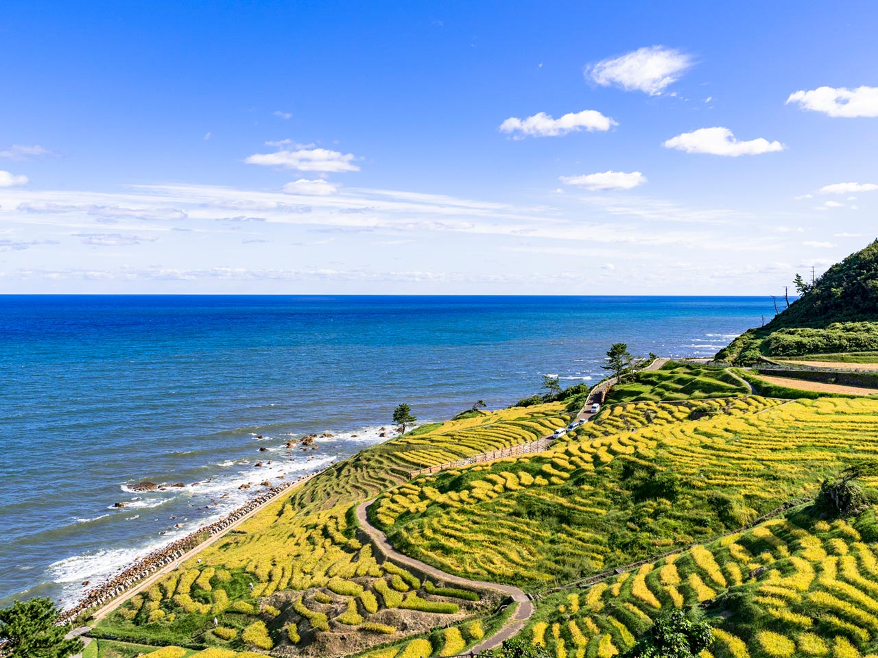 解体事業 - たんぽぽ石油株式会社