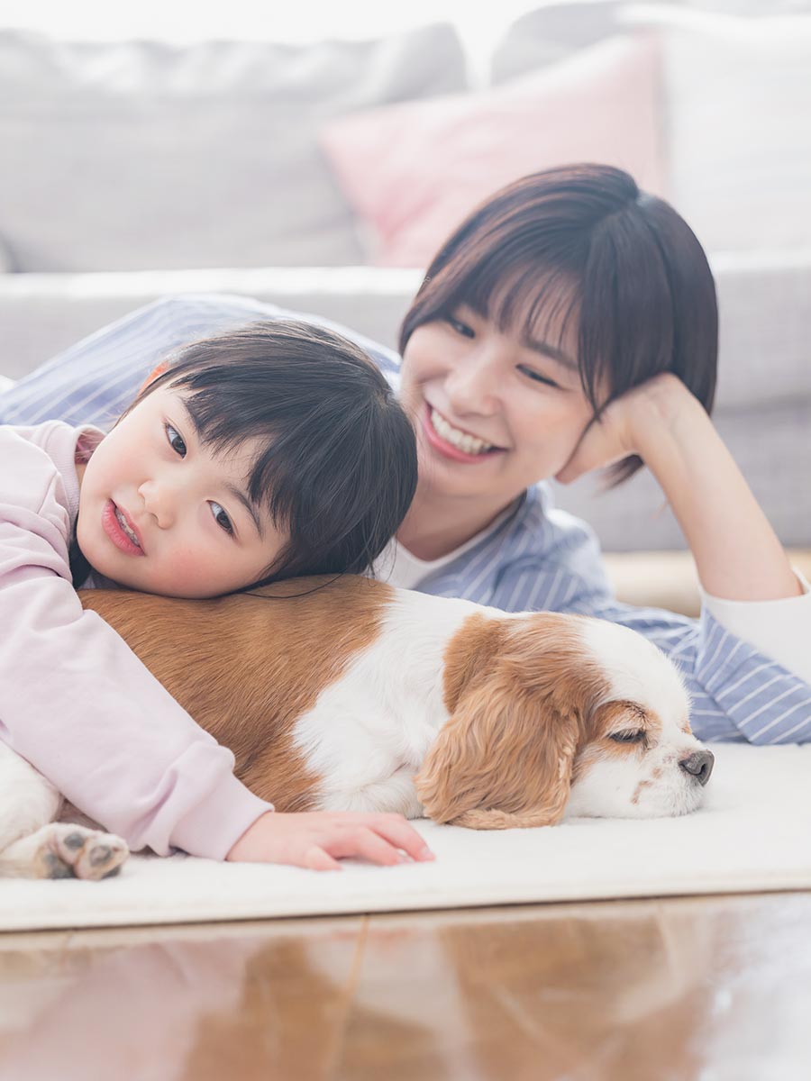 高気圧酸素ボックス - 株式会社彩家