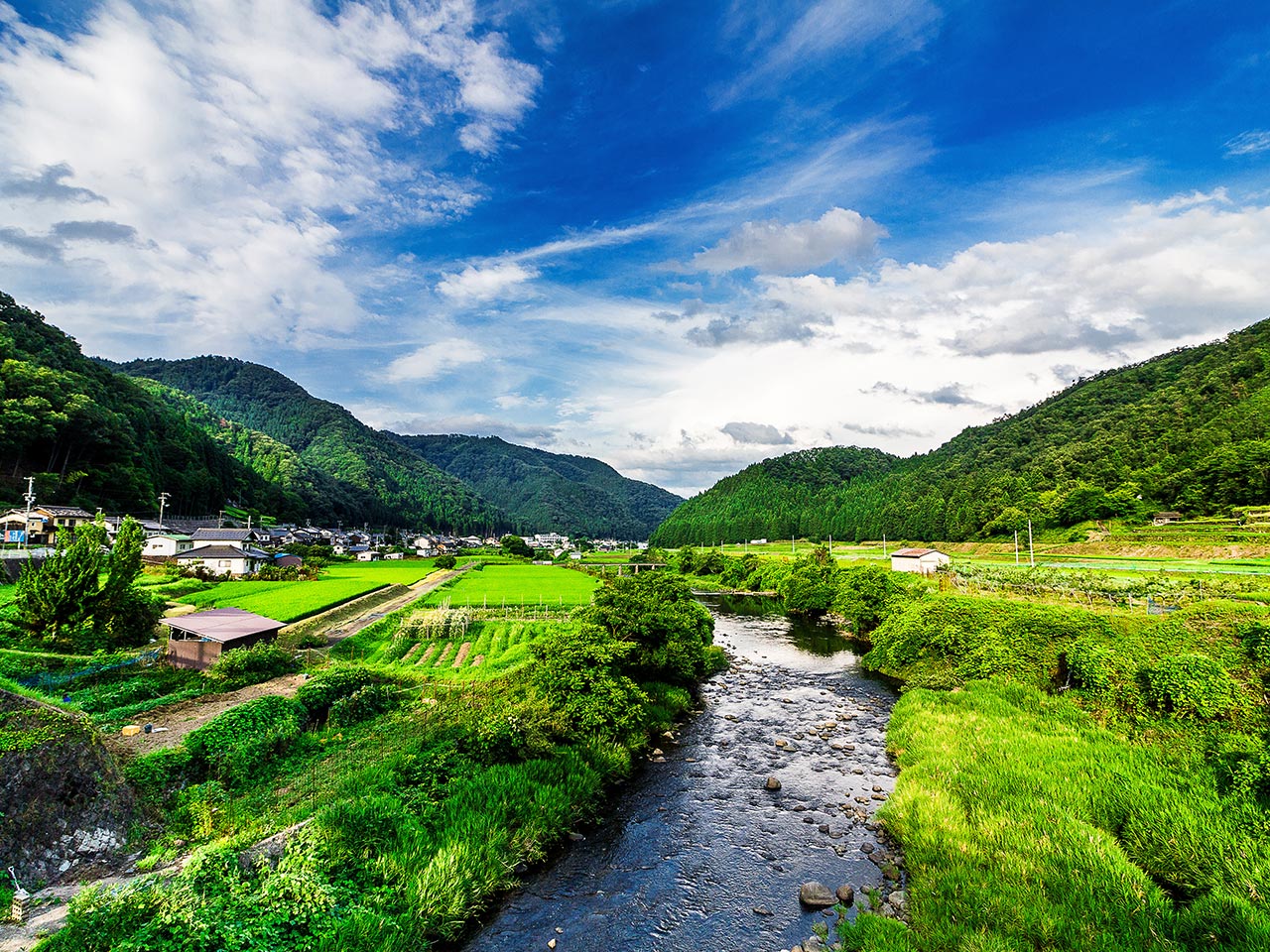 動画・イベント制作 - 360WORLD合同会社