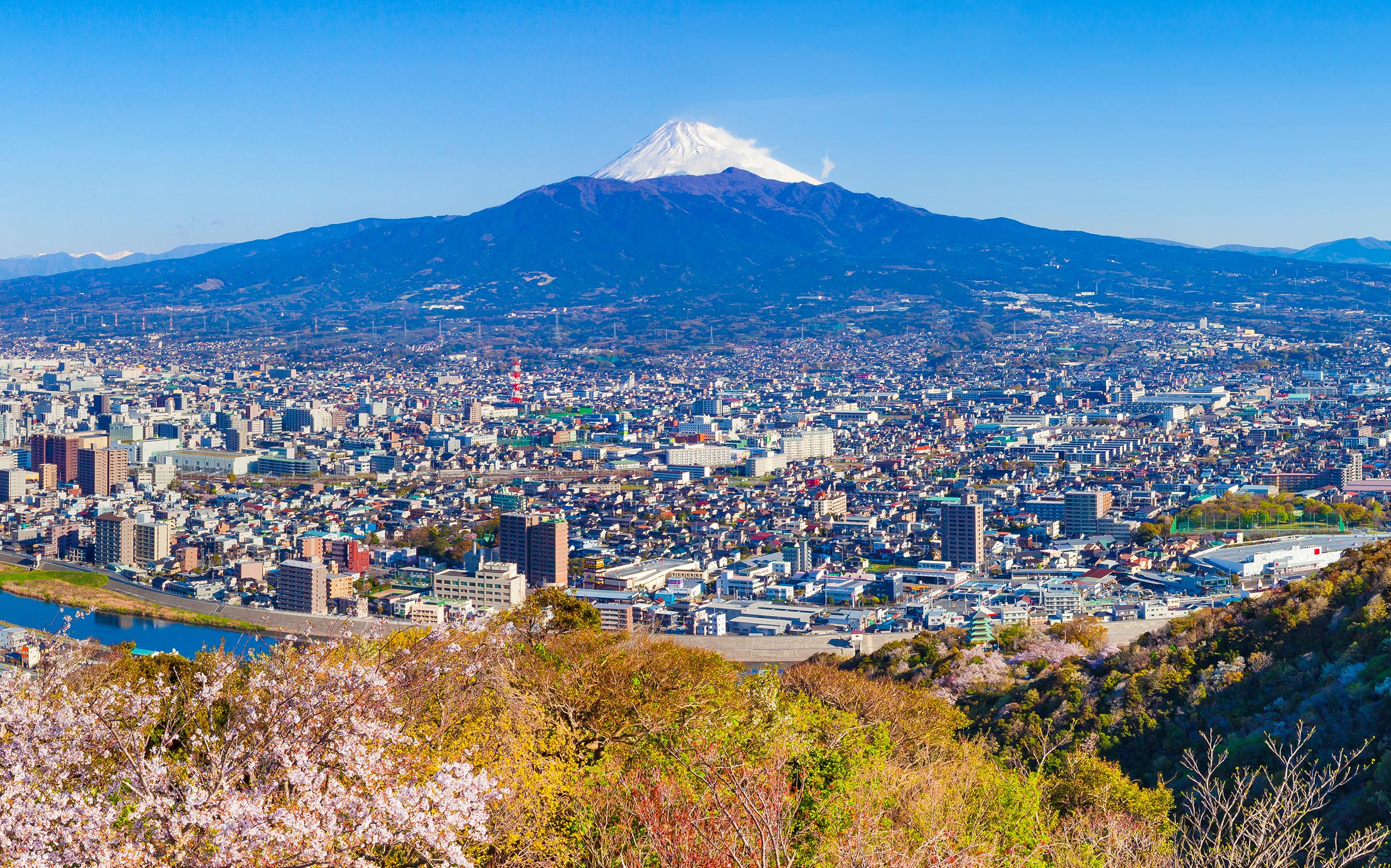 TOP - 株式会社矢野総業
