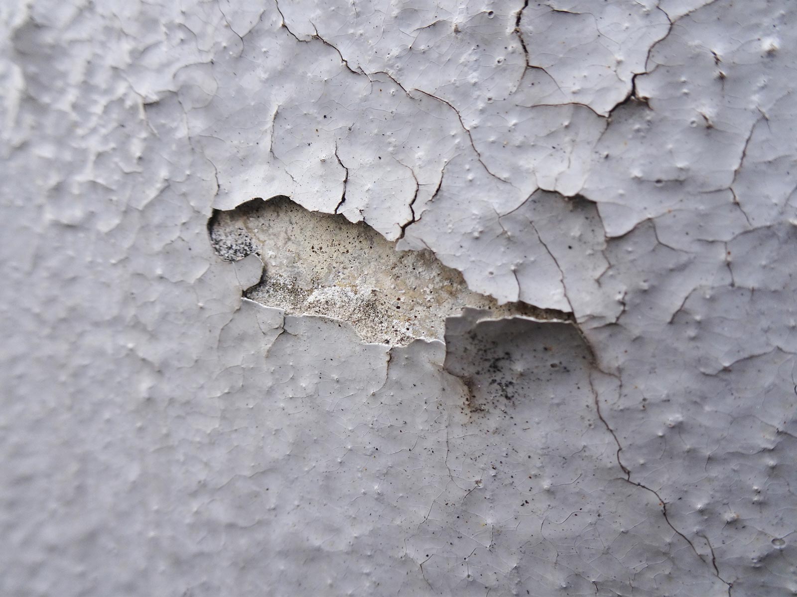 事業内容 - 橋本塗工店