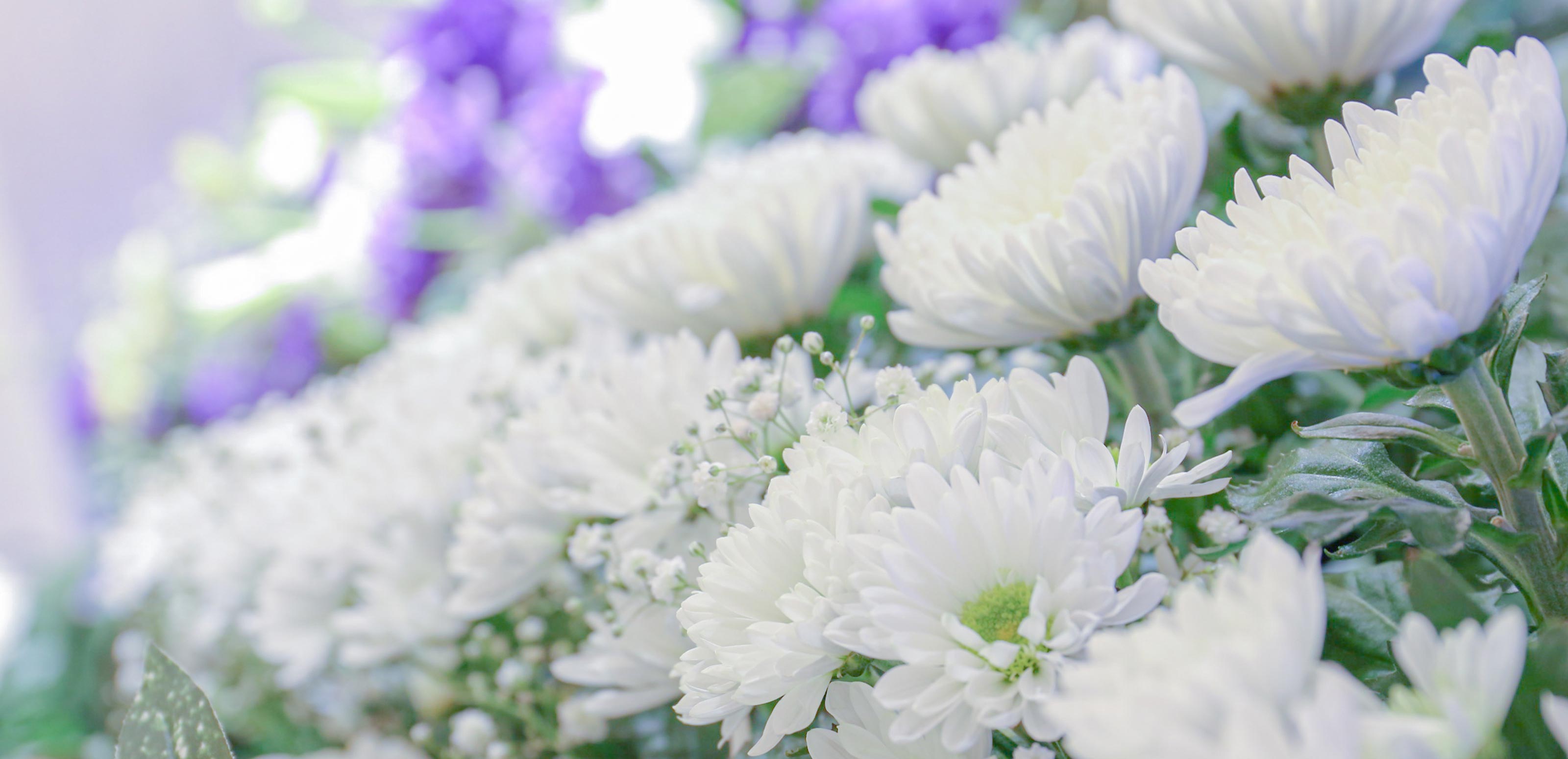 葬儀の執行 - 株式会社真心葬祭