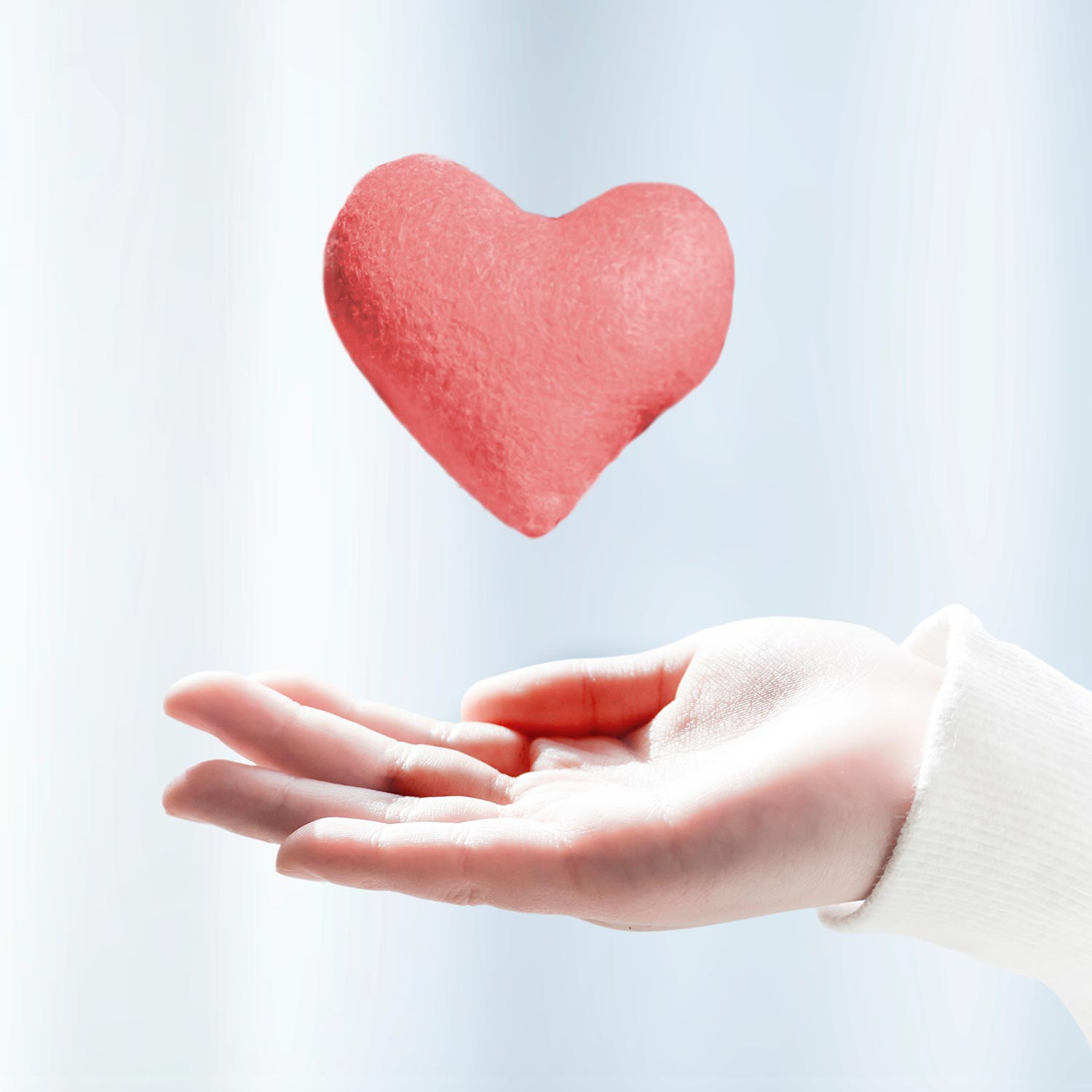 葬儀の執行 - 株式会社真心葬祭