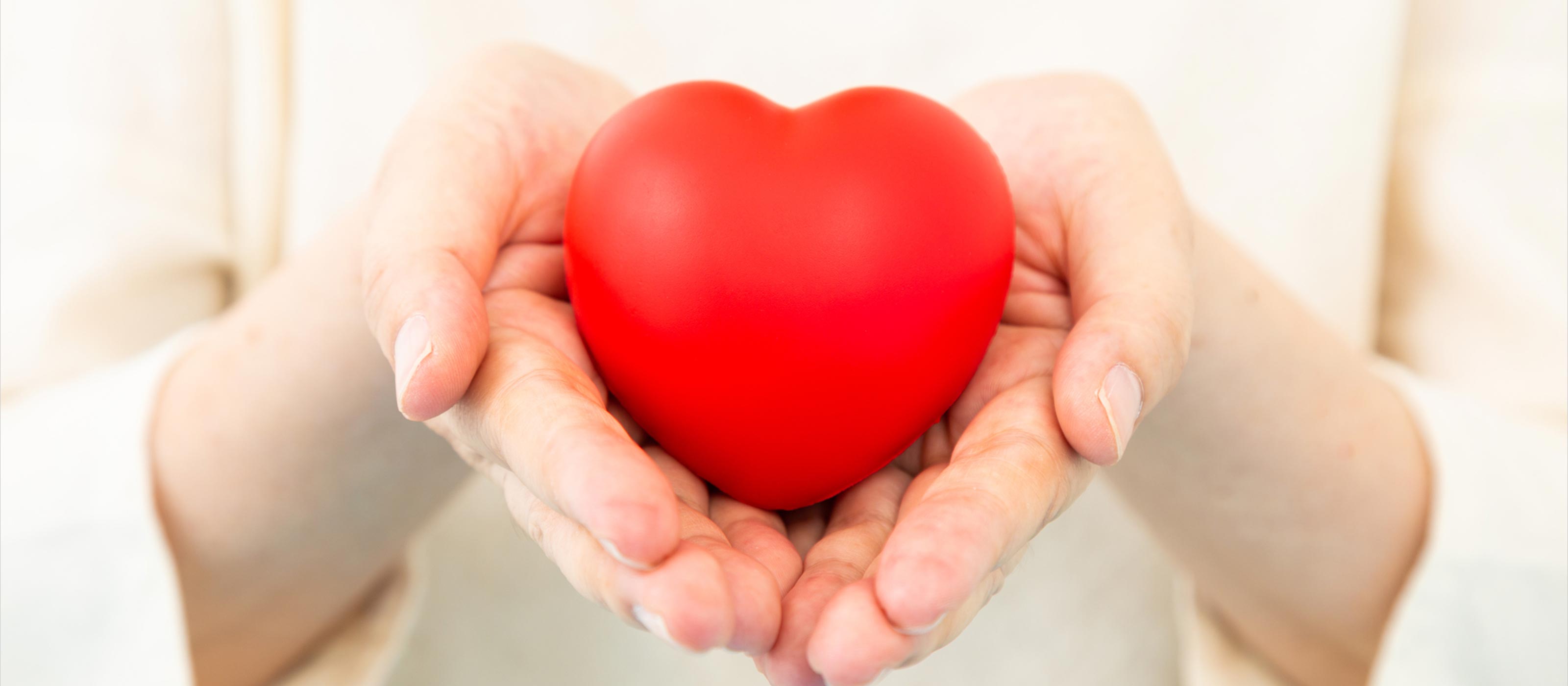 老人ホーム紹介サービス - やしま開発株式会社