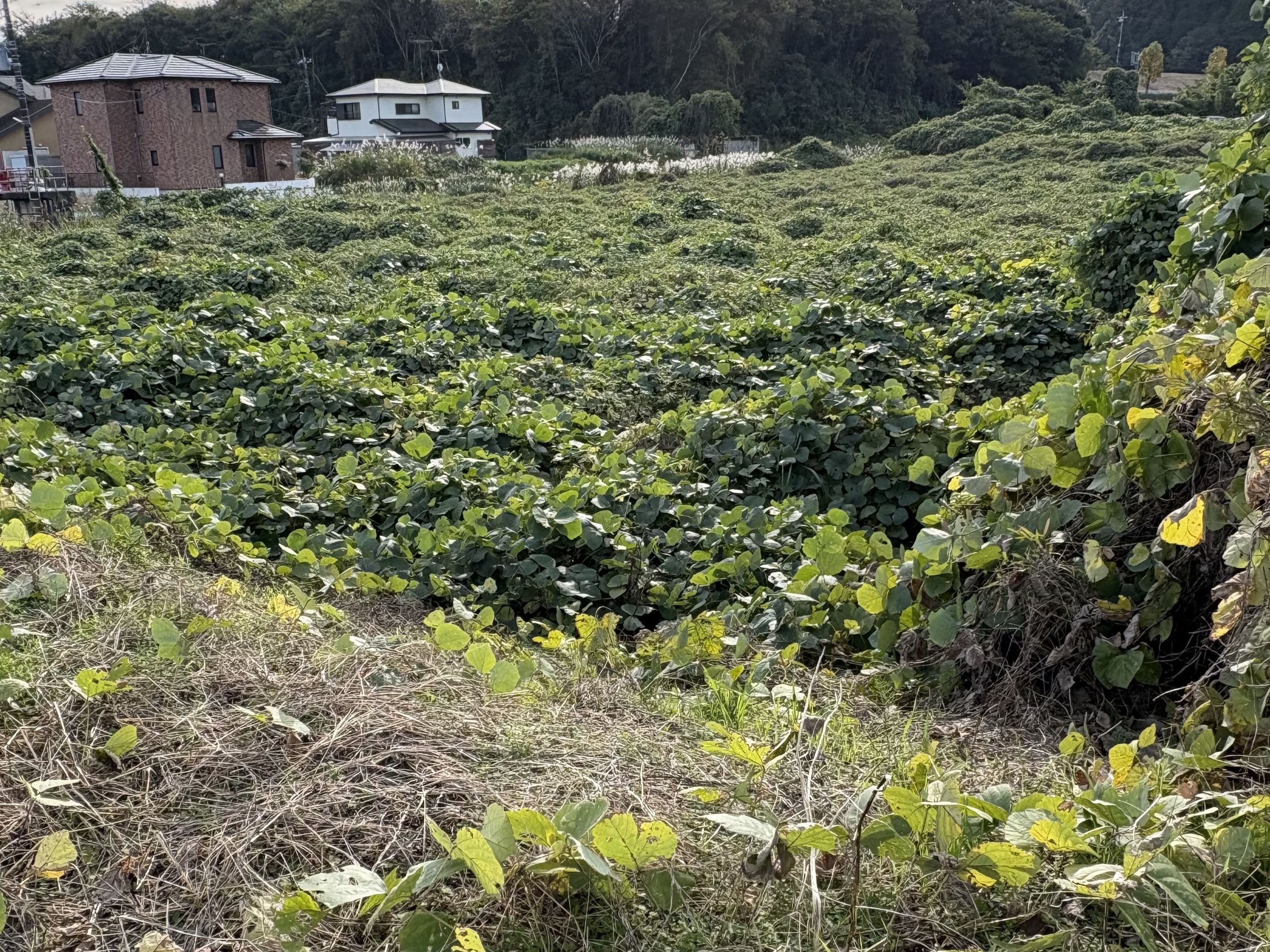 4. 取り扱い土地紹介 - エスカルゴライフデザイン株式会社