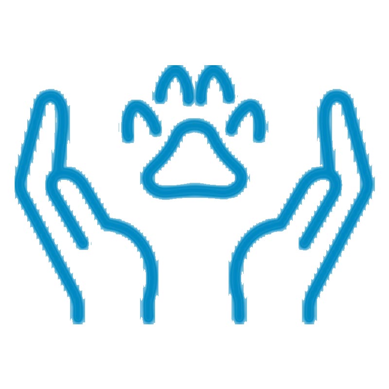 お魚ジャーキー - 株式会社 AND J’s