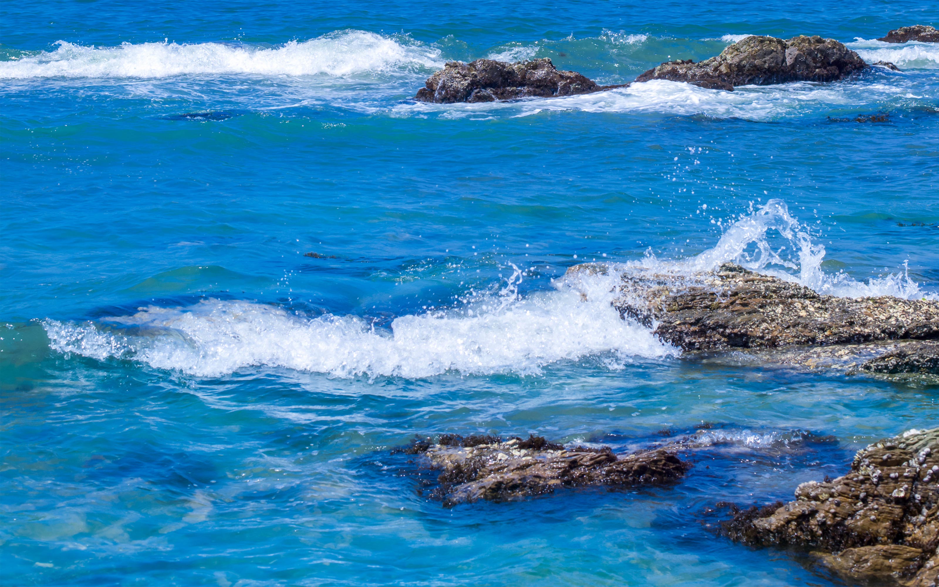 お魚ジャーキー - 株式会社 AND J’s