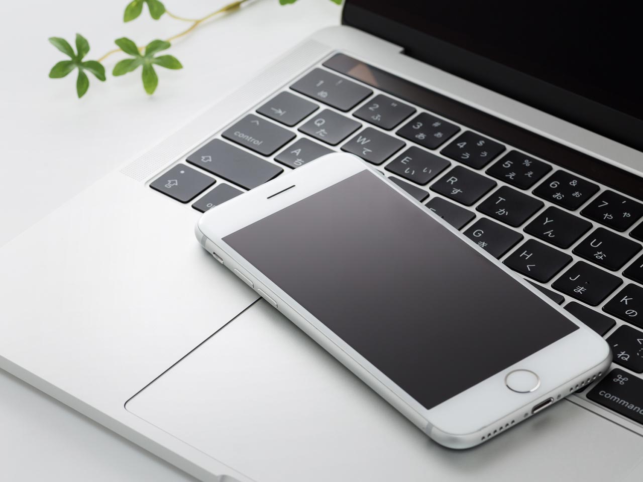 インドアゴルフ - 株式会社 EVANESS