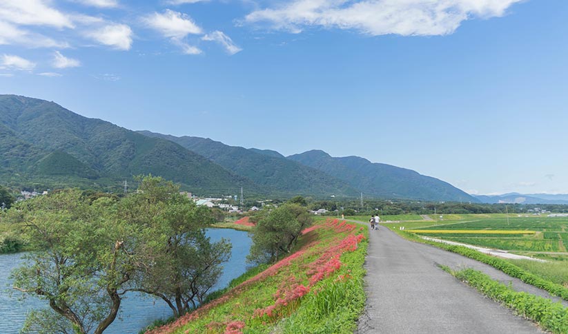 司法書士 - 大橋 智博