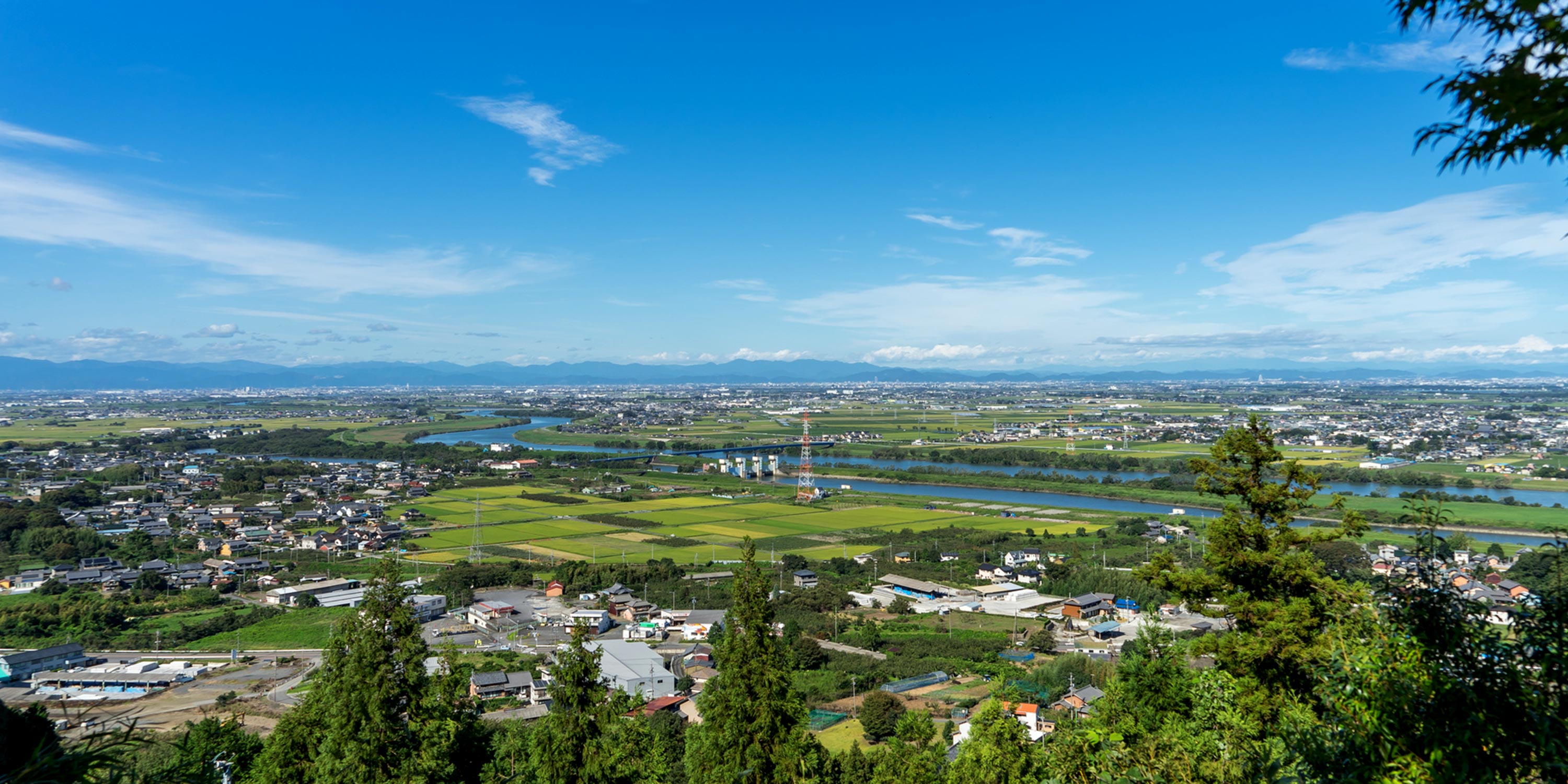 司法書士 - 大橋 智博