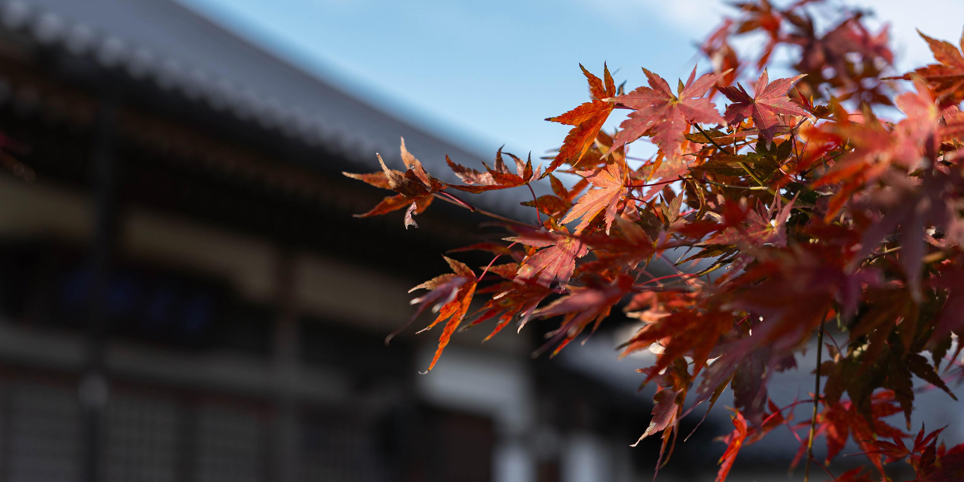 境内案内・アクセス - 宗教法人 永安寺
