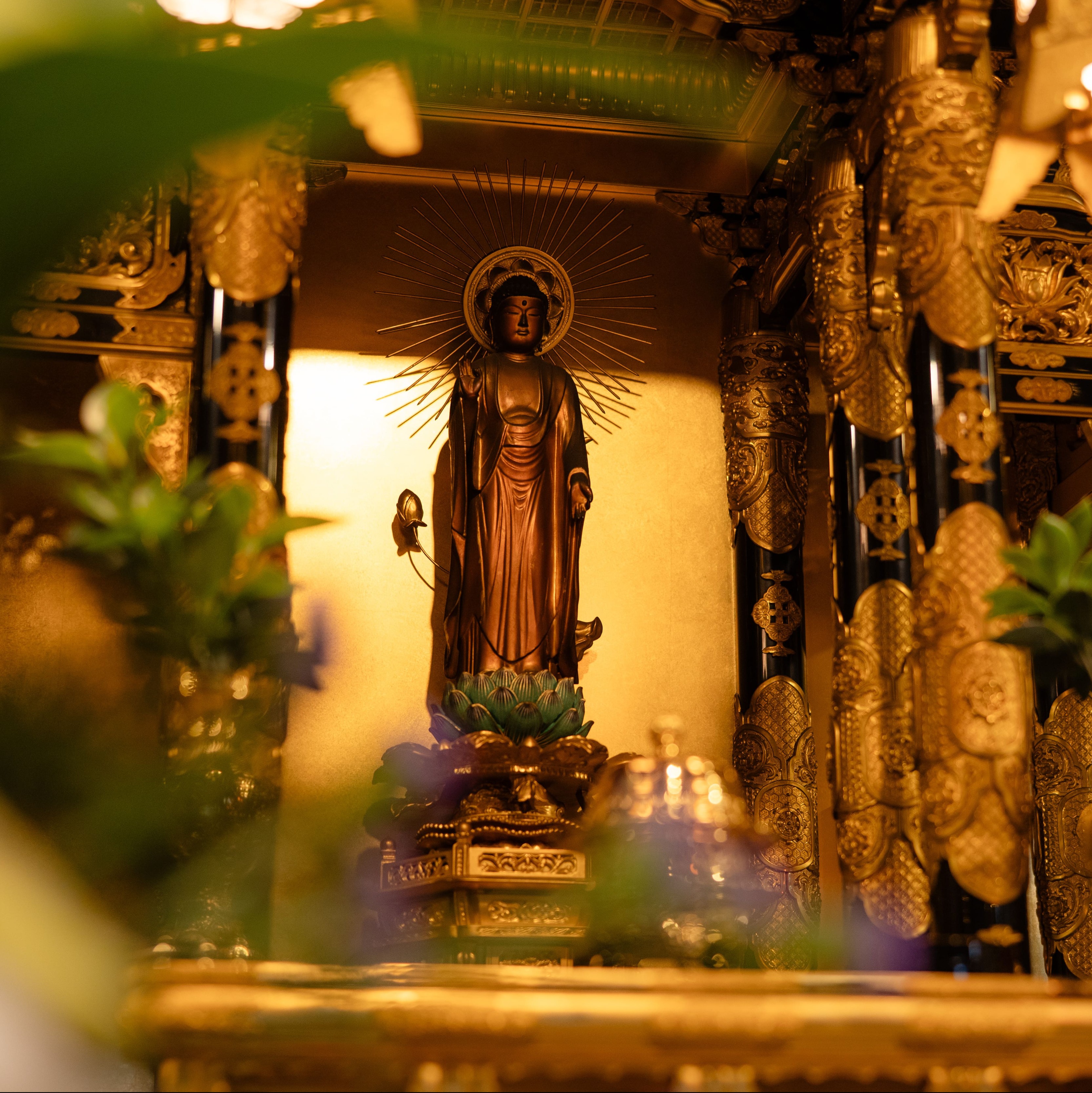 浄土真宗とは - 宗教法人光源寺