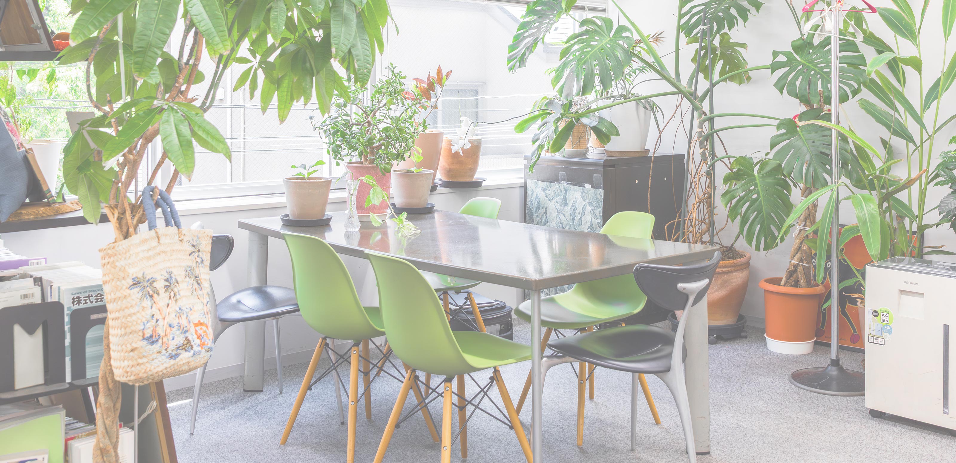 行政手続き - 行政書士MP法務事務所