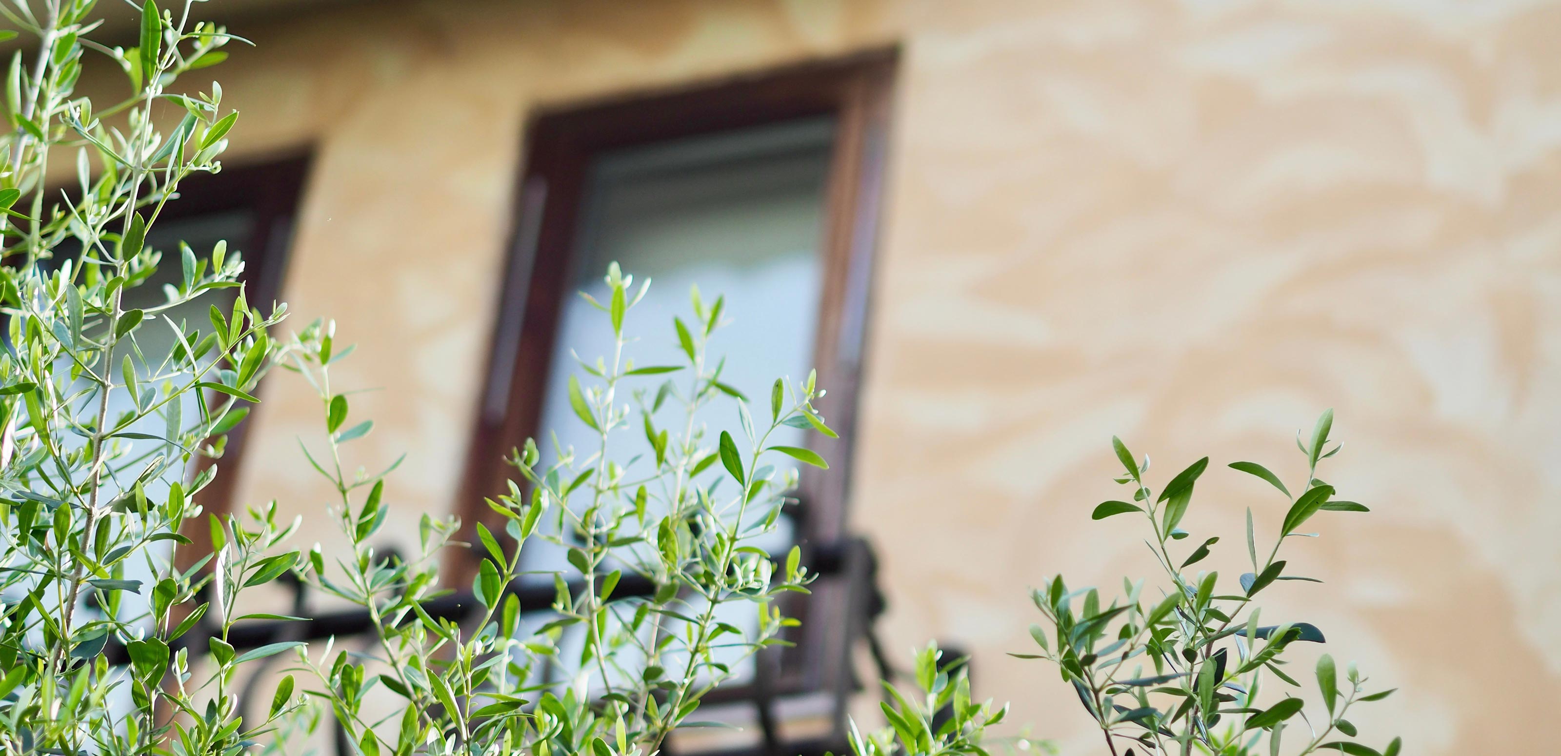 外構工事 - 株式会社エクステックス