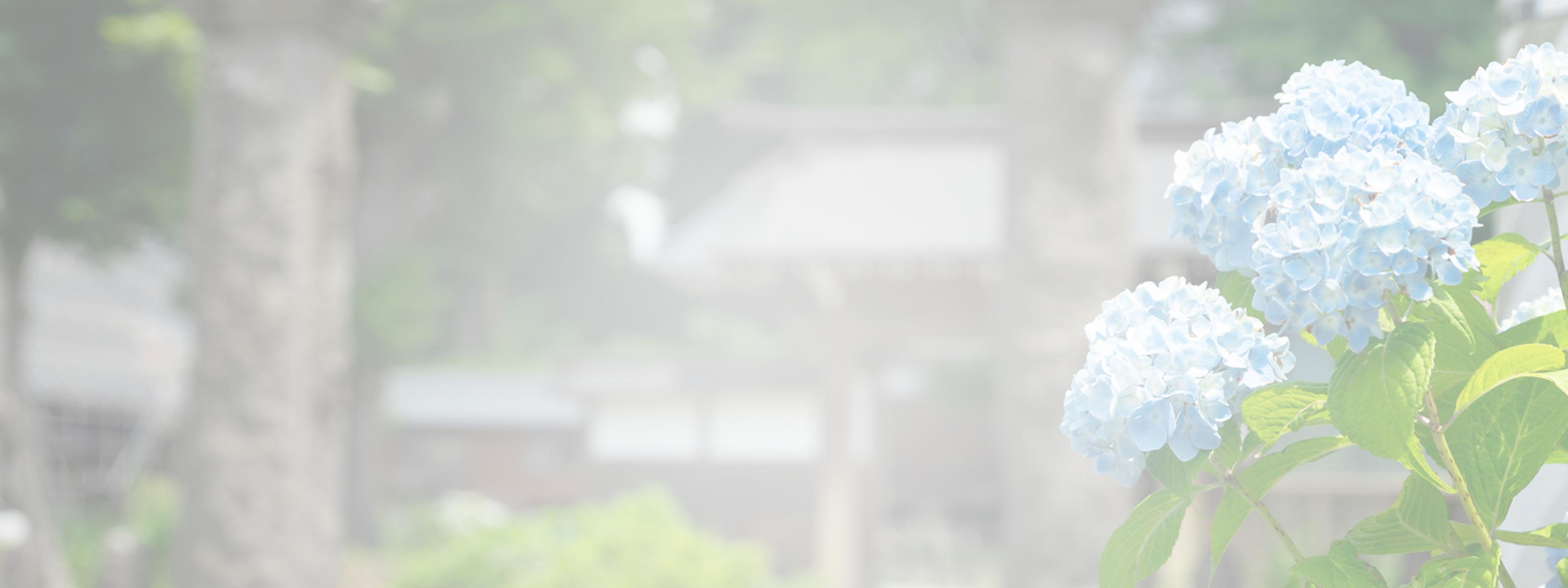 東光院について - 宗教法人東光院