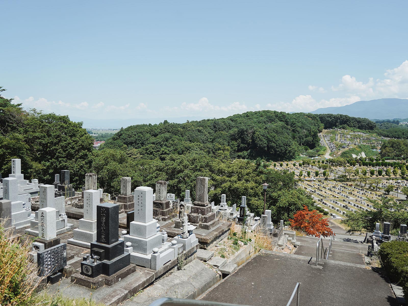飛龍山本光寺 - 飛龍山本光寺