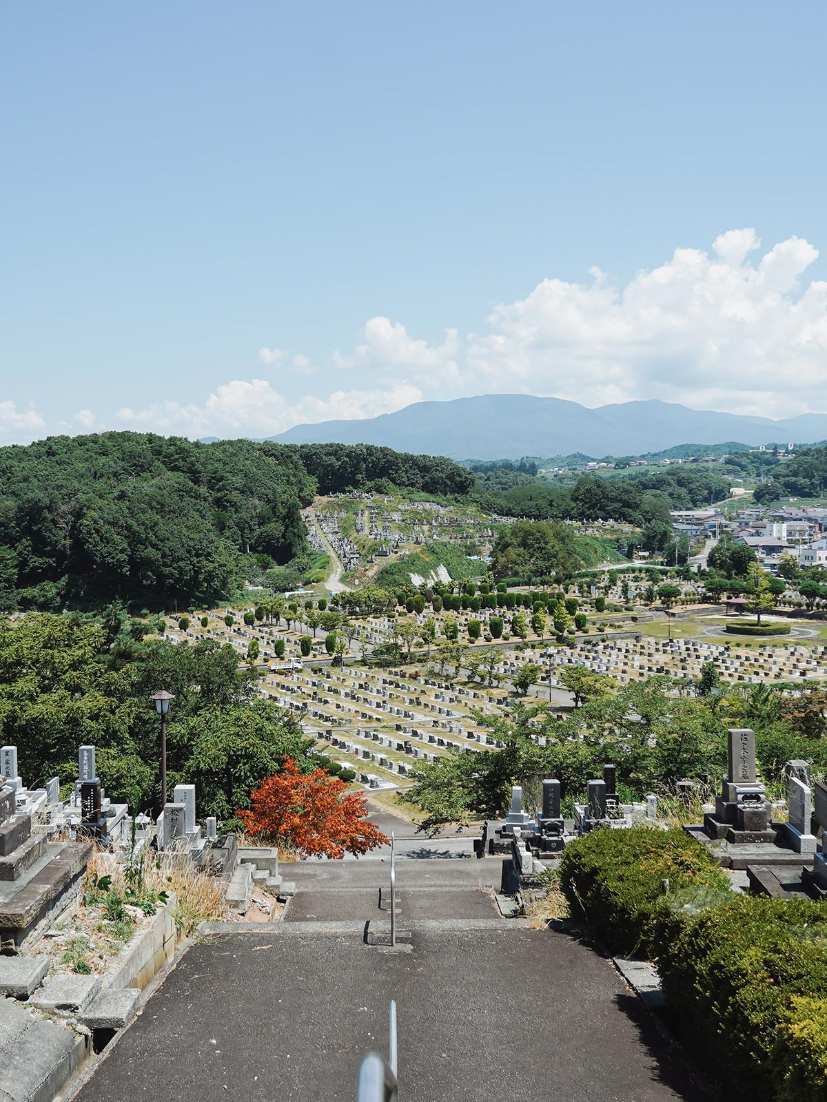 飛龍山本光寺について - 飛龍山本光寺