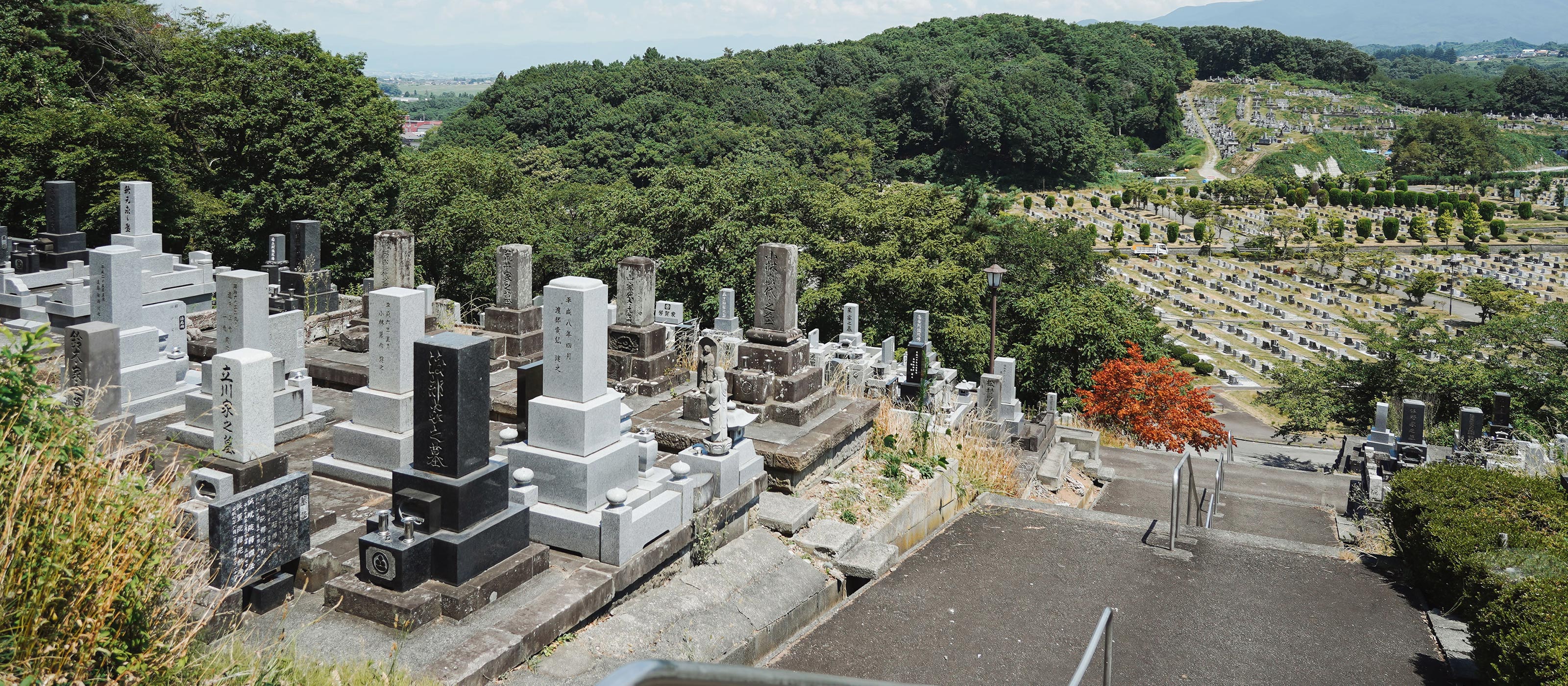 飛龍山本光寺（TOP） - 飛龍山本光寺
