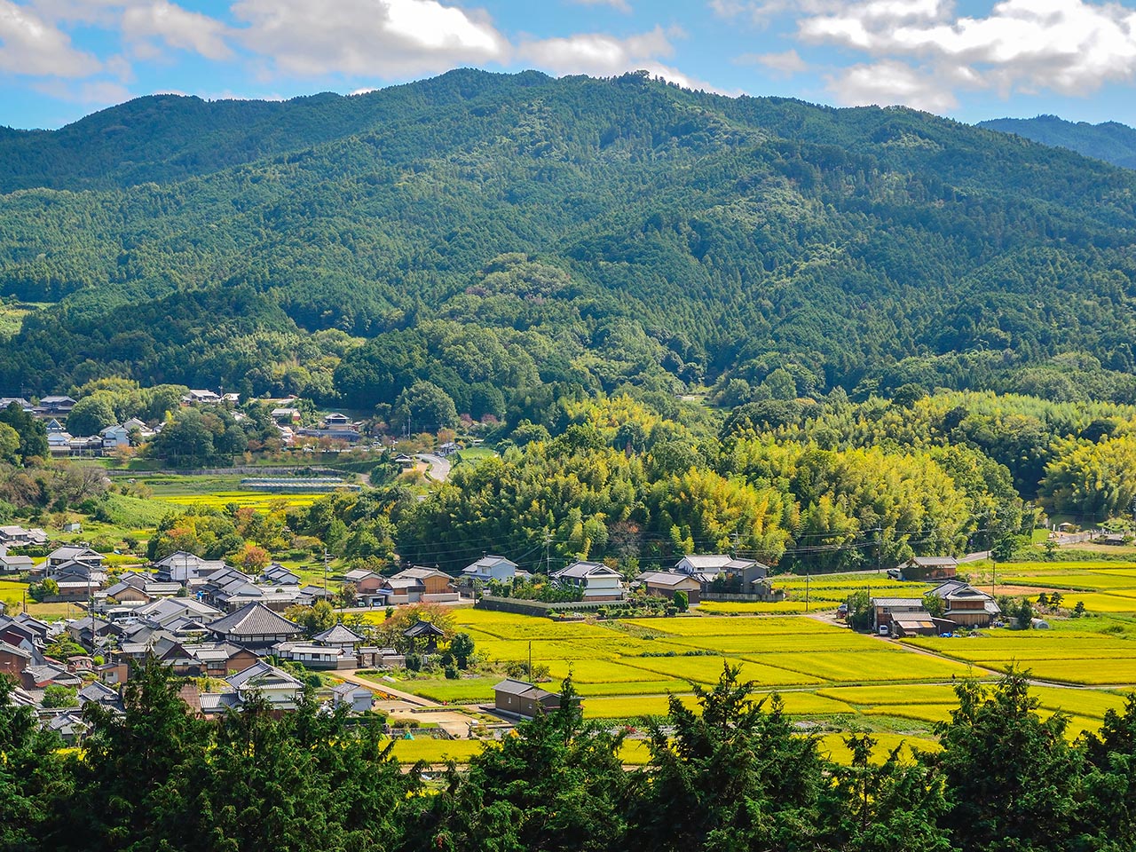 訪問介護 - 合同会社ケアNexT