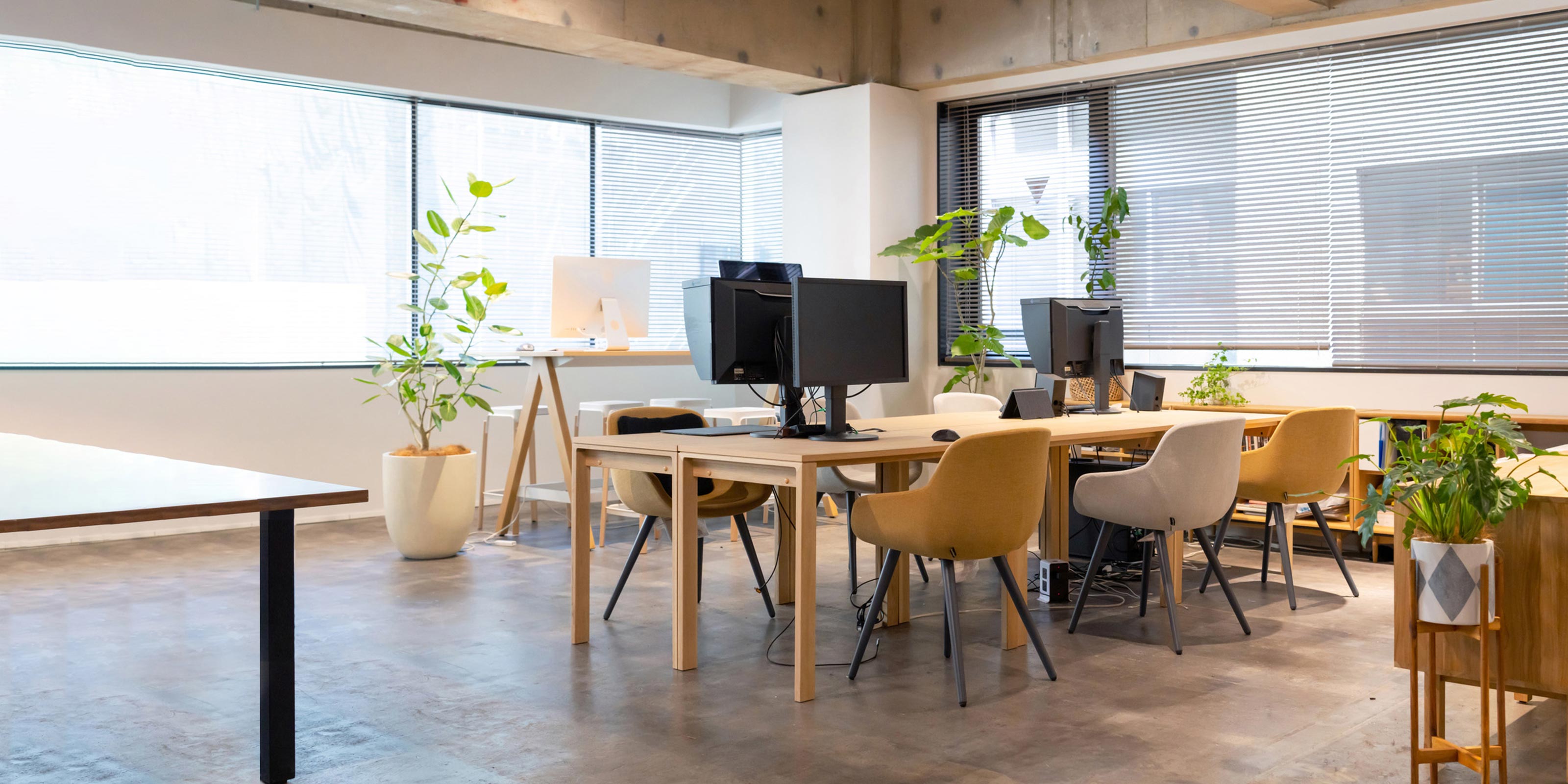 会社概要 - 極美株式会社