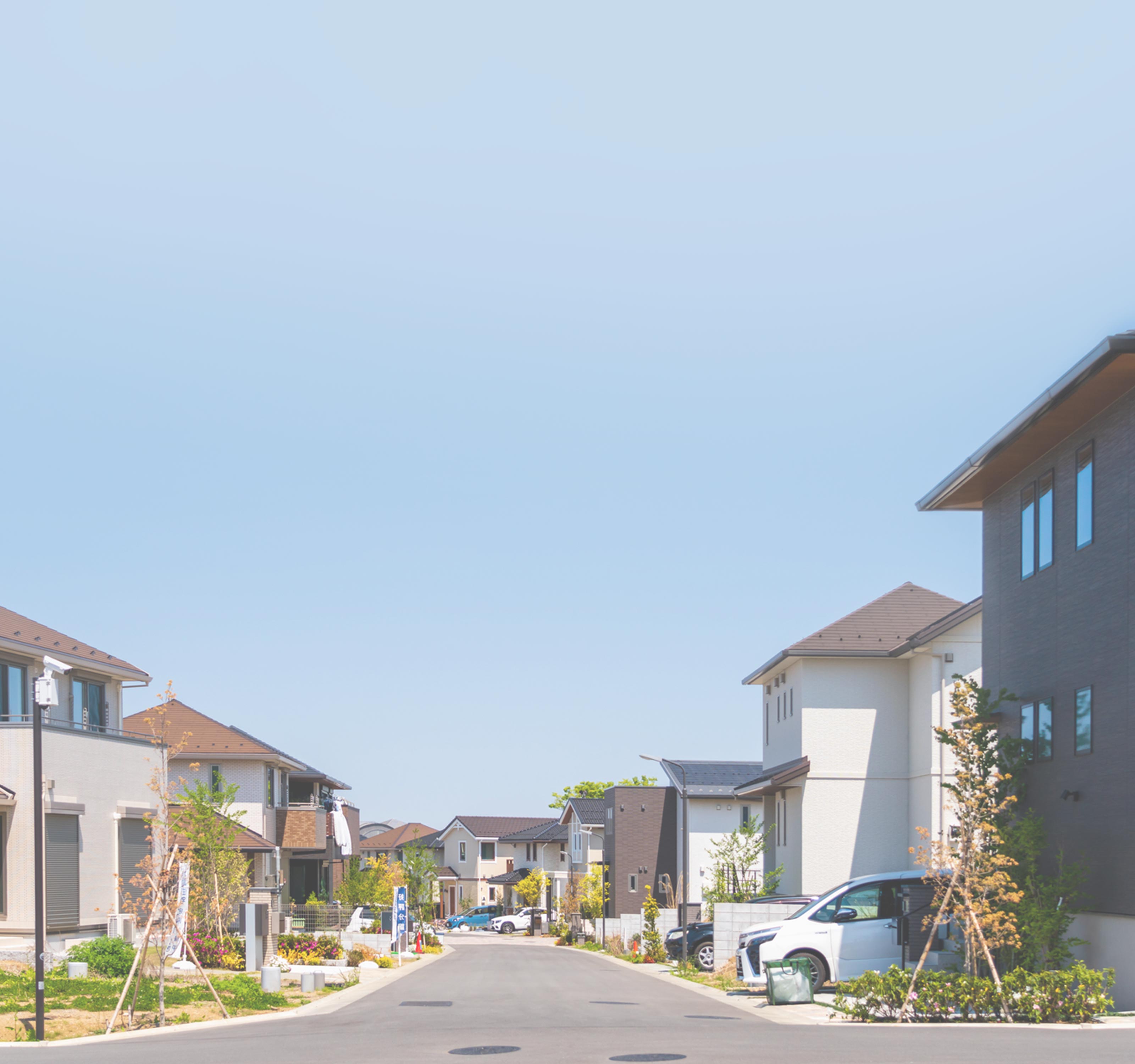 事業内容 - 極美株式会社