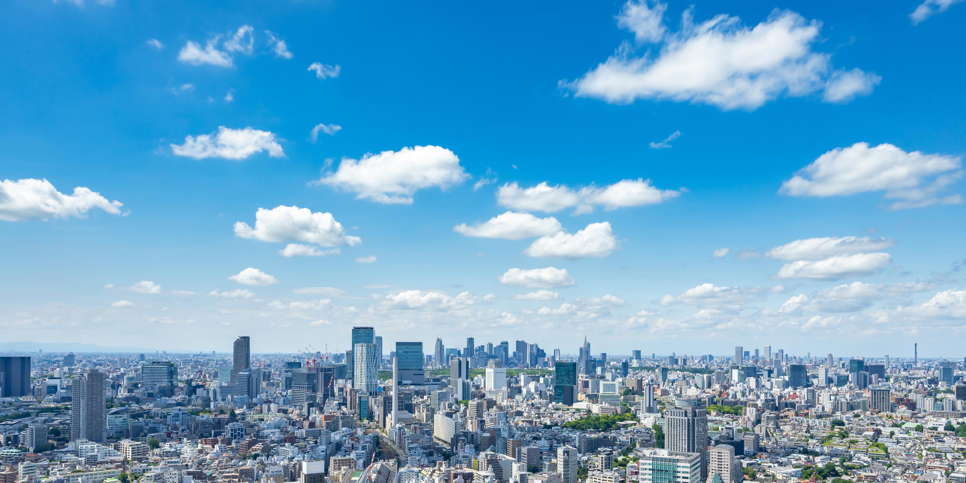 事業内容 - 株式会社Tcell